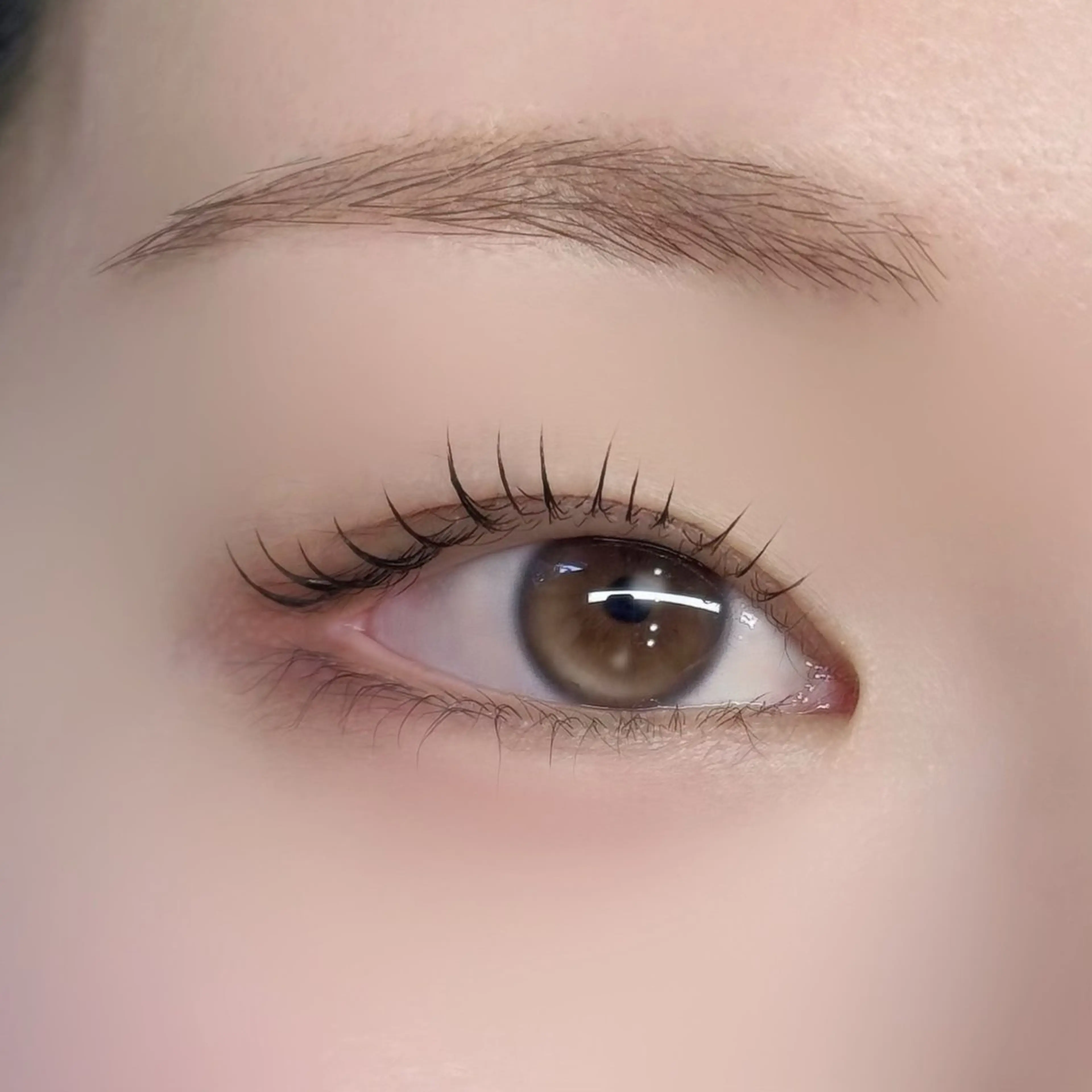 マツエク・マツパ Luxiel eye博多店所属・LuXiel mana🦙のマツエク・マツパデザイン