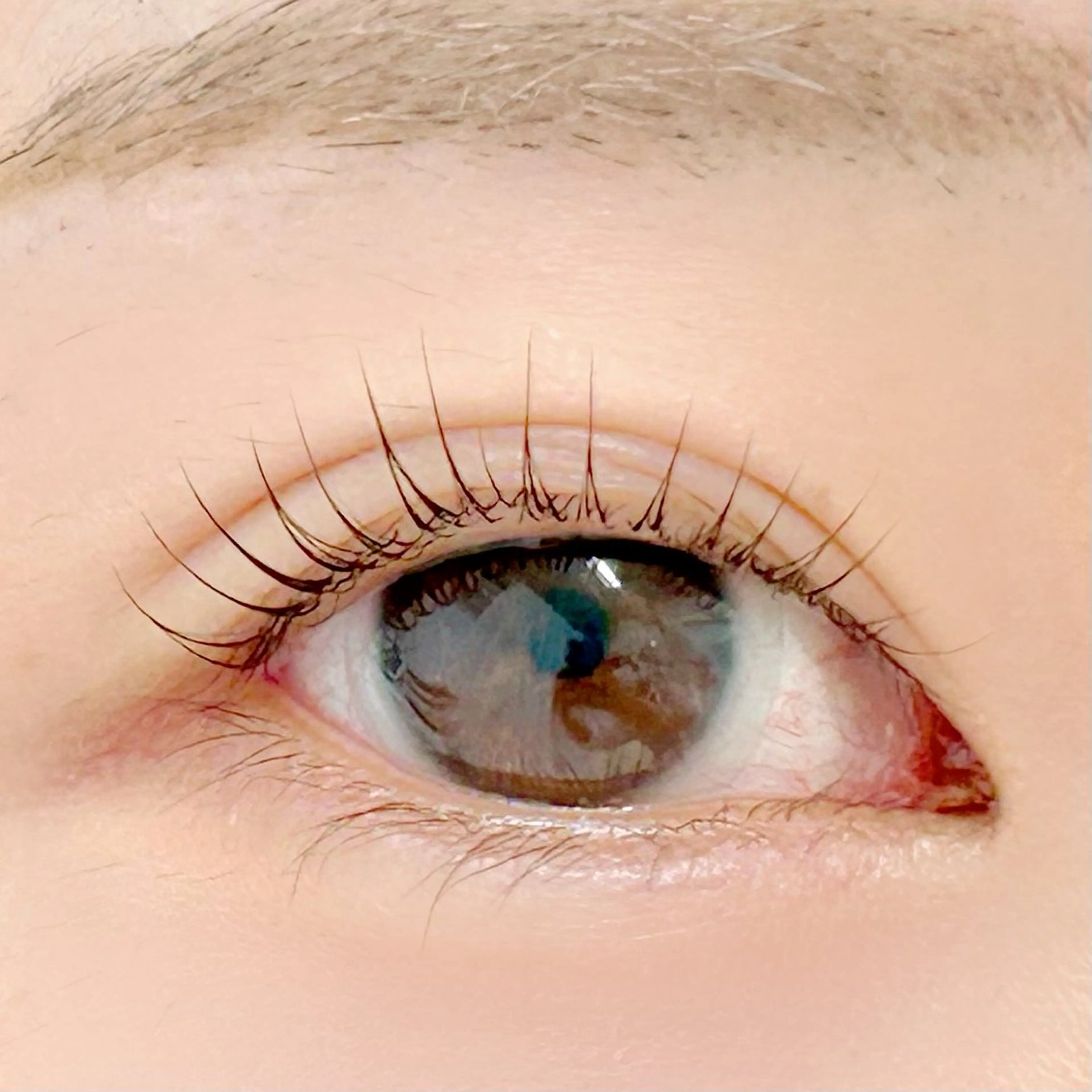 マツエク・マツパ 一重×まつ毛パーマ マツパ BellFlower Aki（眉・まつげ）のマツエク・マツパデザイン