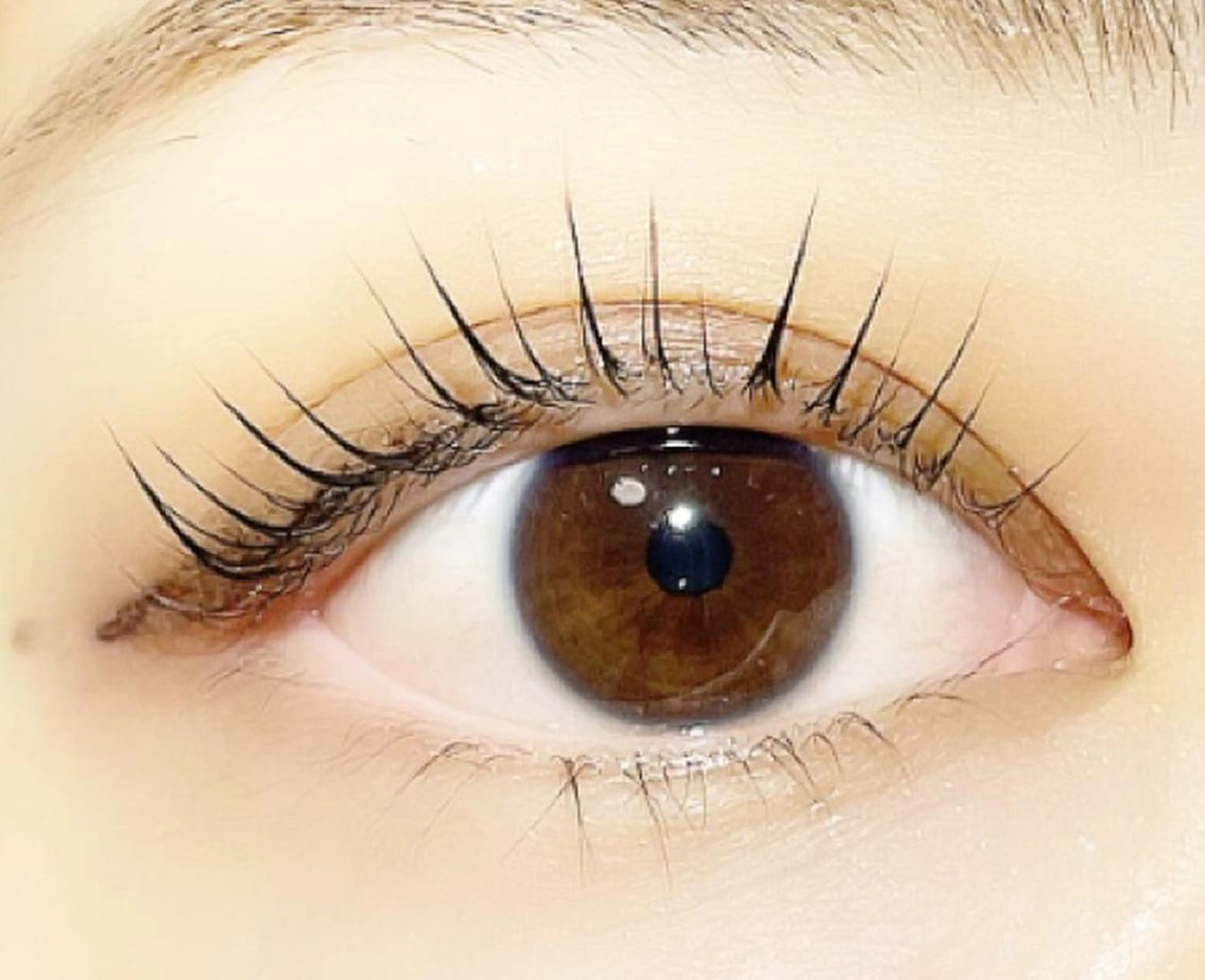 マツエク・マツパ パリジェンヌラッシュリフト Lasia  eyelash&nail所属・☆ yukikoのネイルデザイン