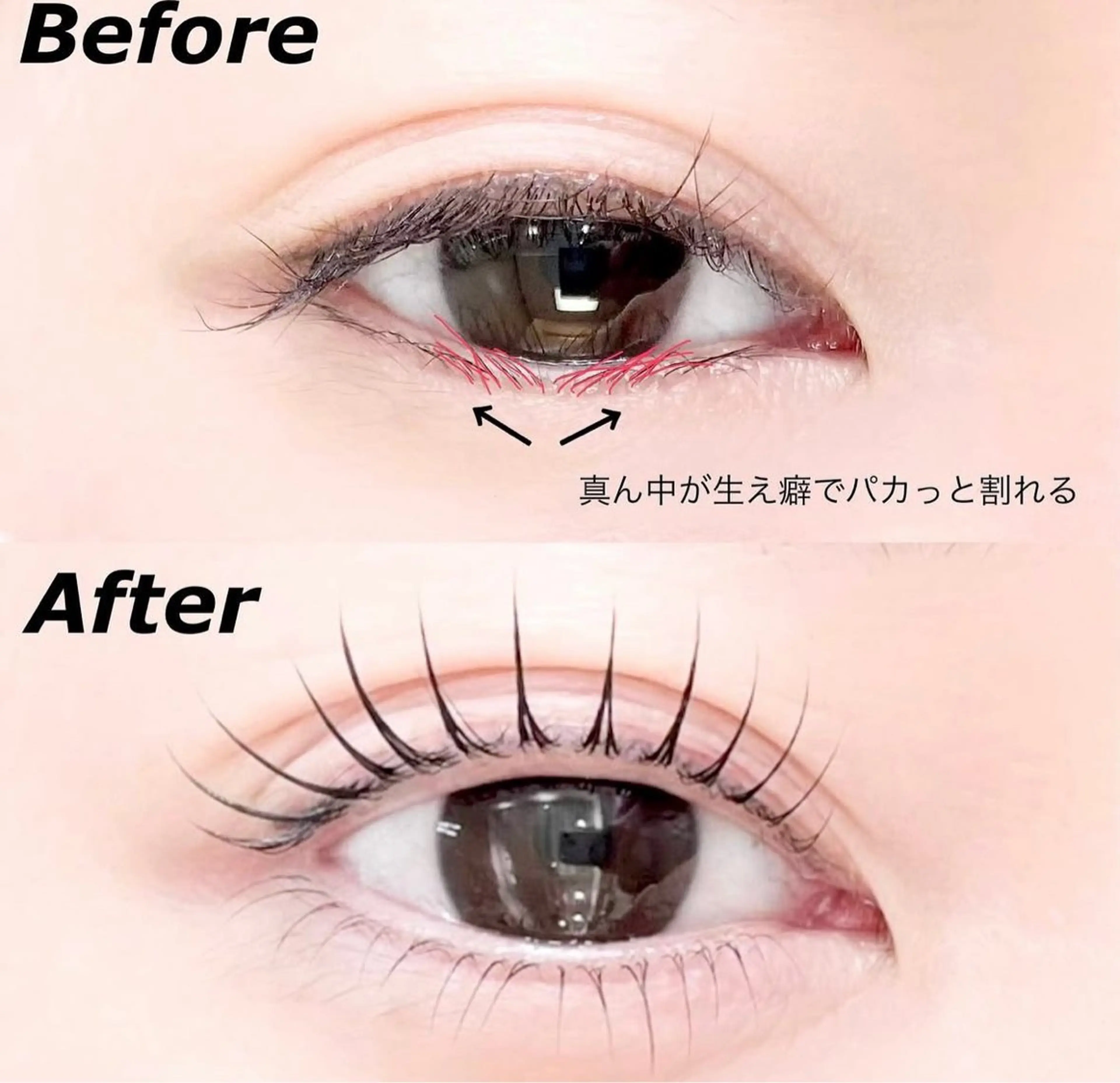 【逆まつげ矯正】下まつげパーマ🧸の写真