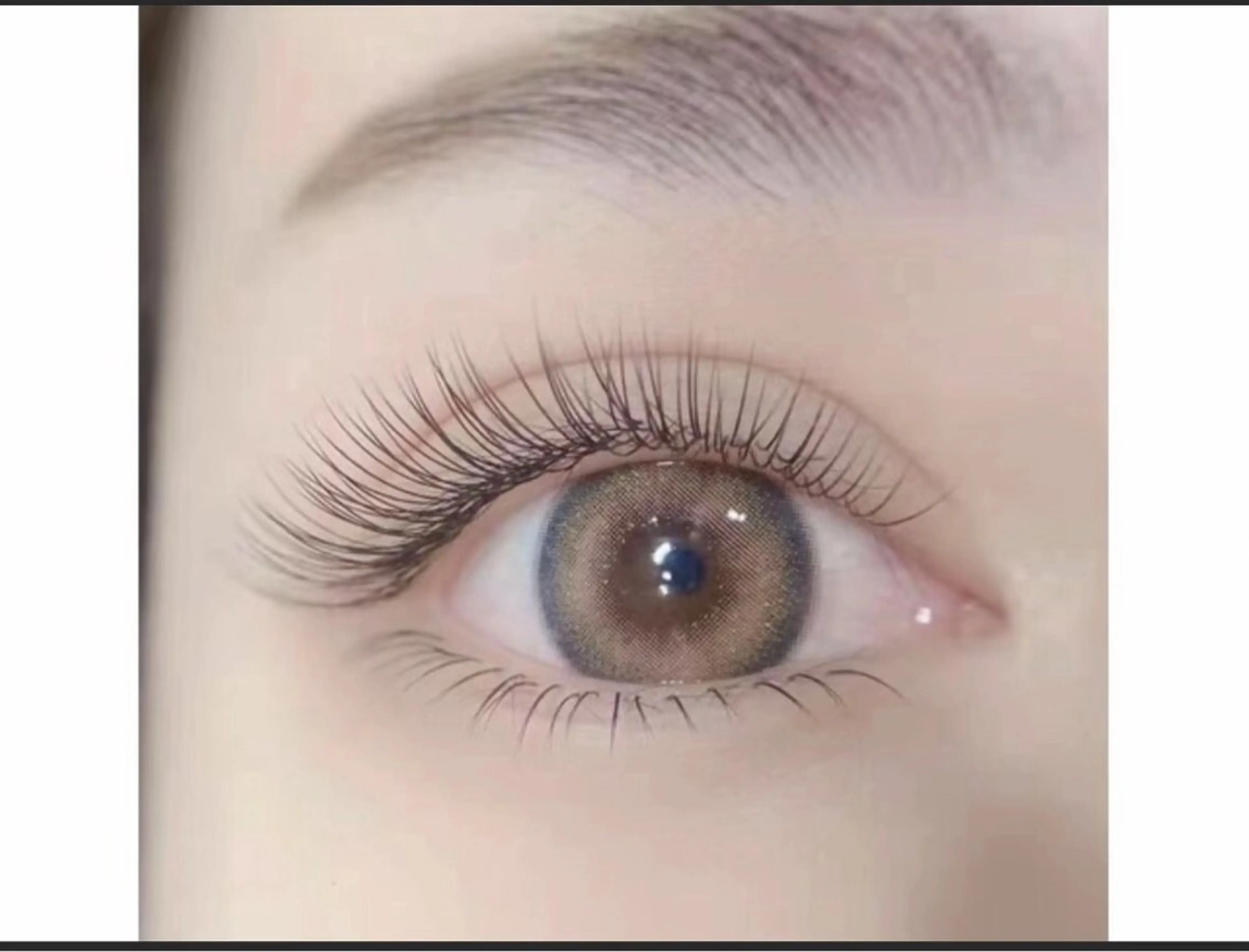 フラットラッシュ100本¥2740   120本￥3240   140本￥3840【LED込み】の写真