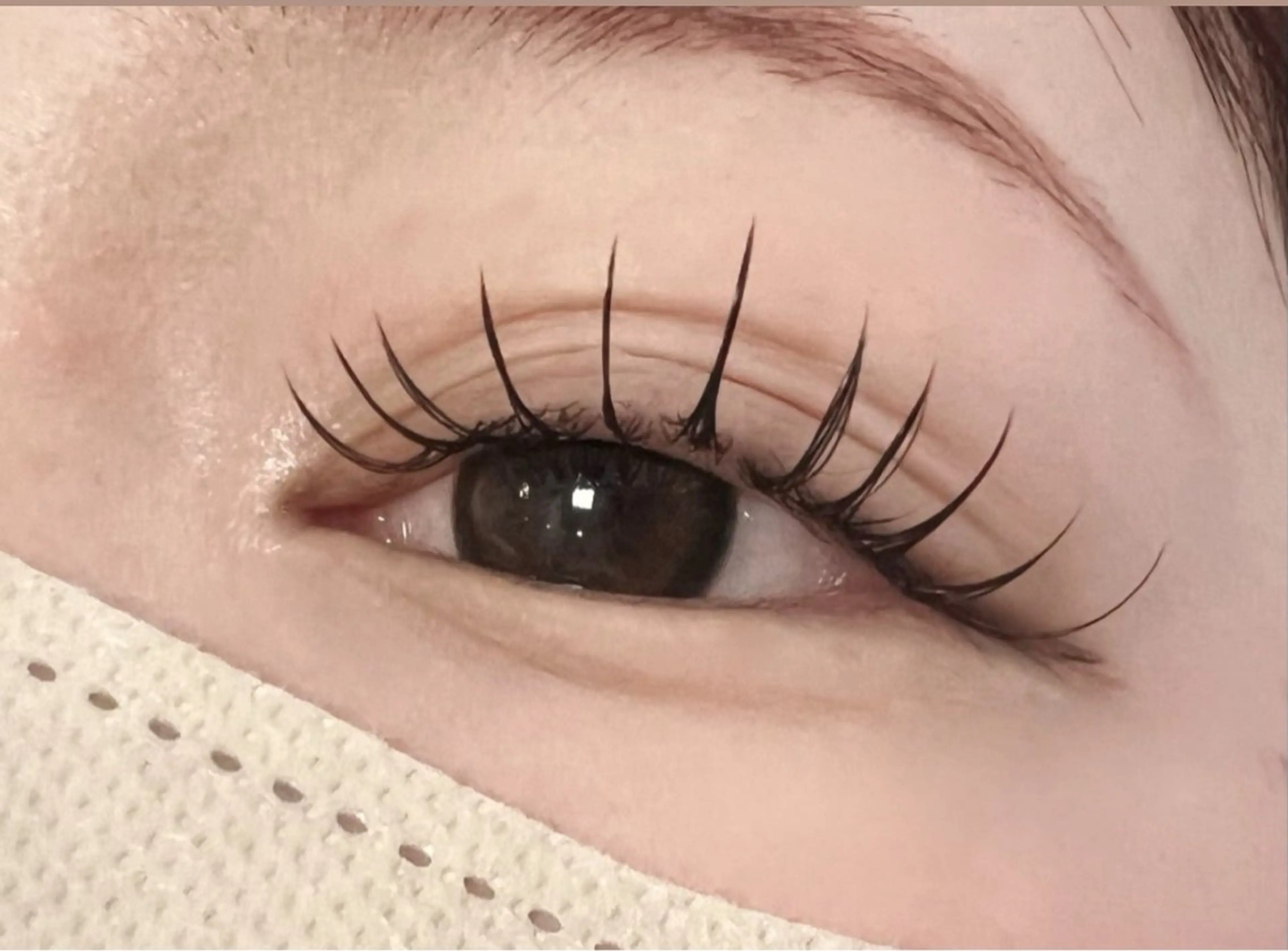 【7月限定】フラットラッシュ80本🪽の写真