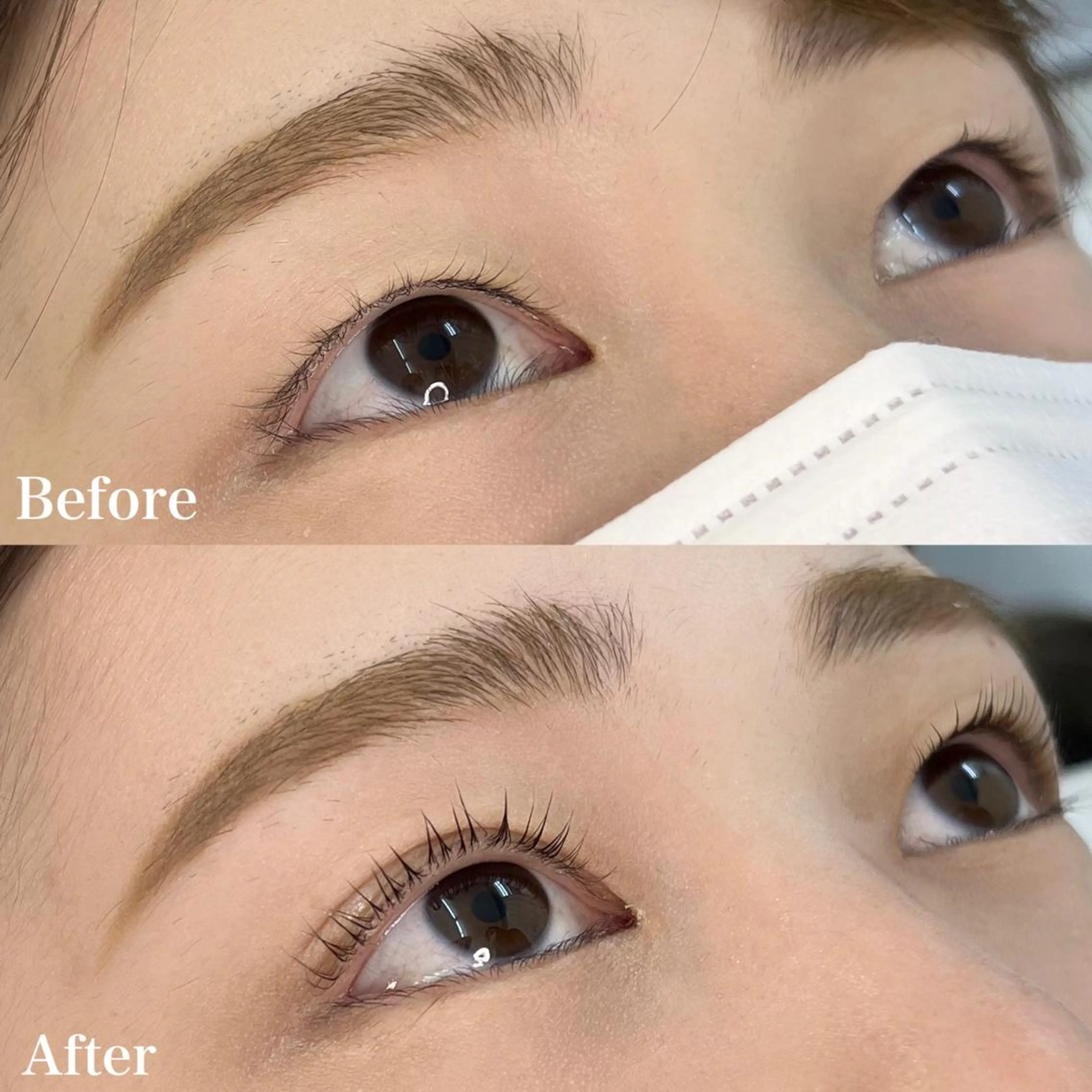 マツエク・マツパ マツパ 眉/まつ毛パーマ専門 💆‍♂️ルナの眉毛・アイブロウイメージ