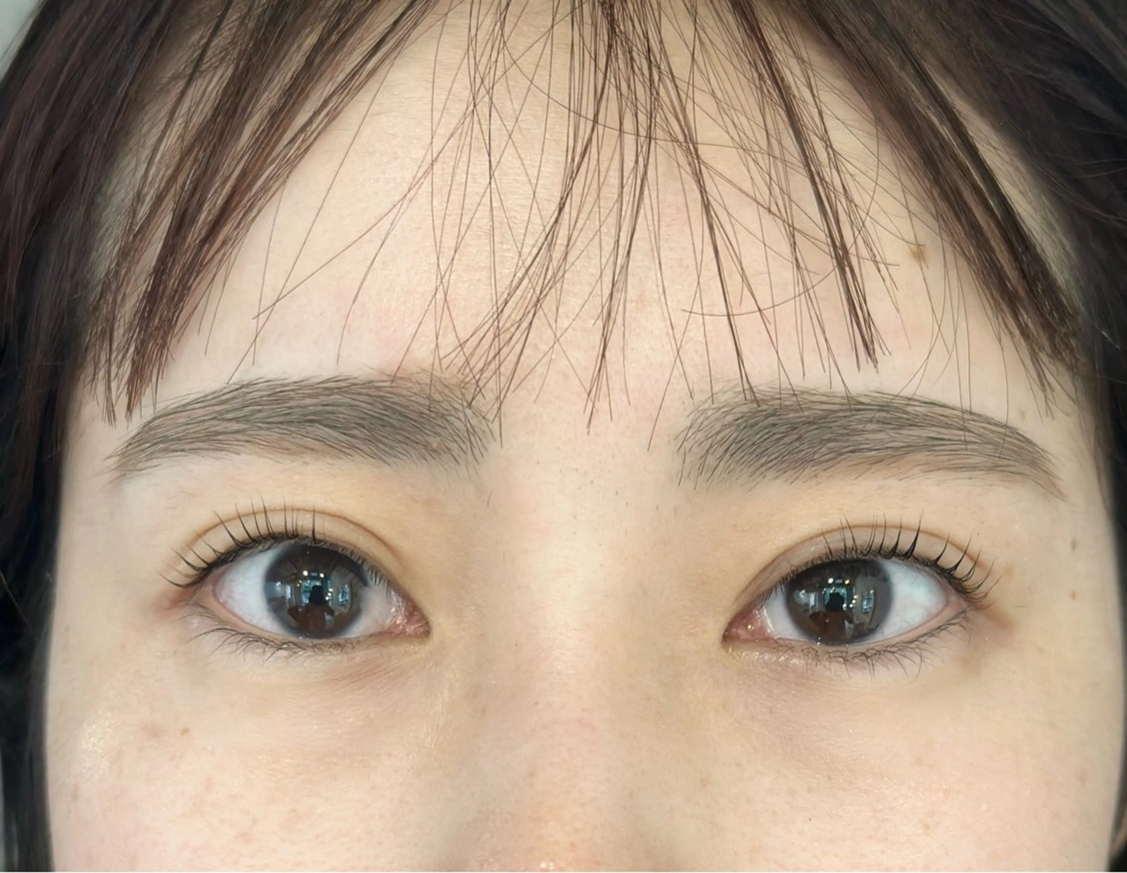 まつ毛パーマ　ミニモ限定になりますの写真