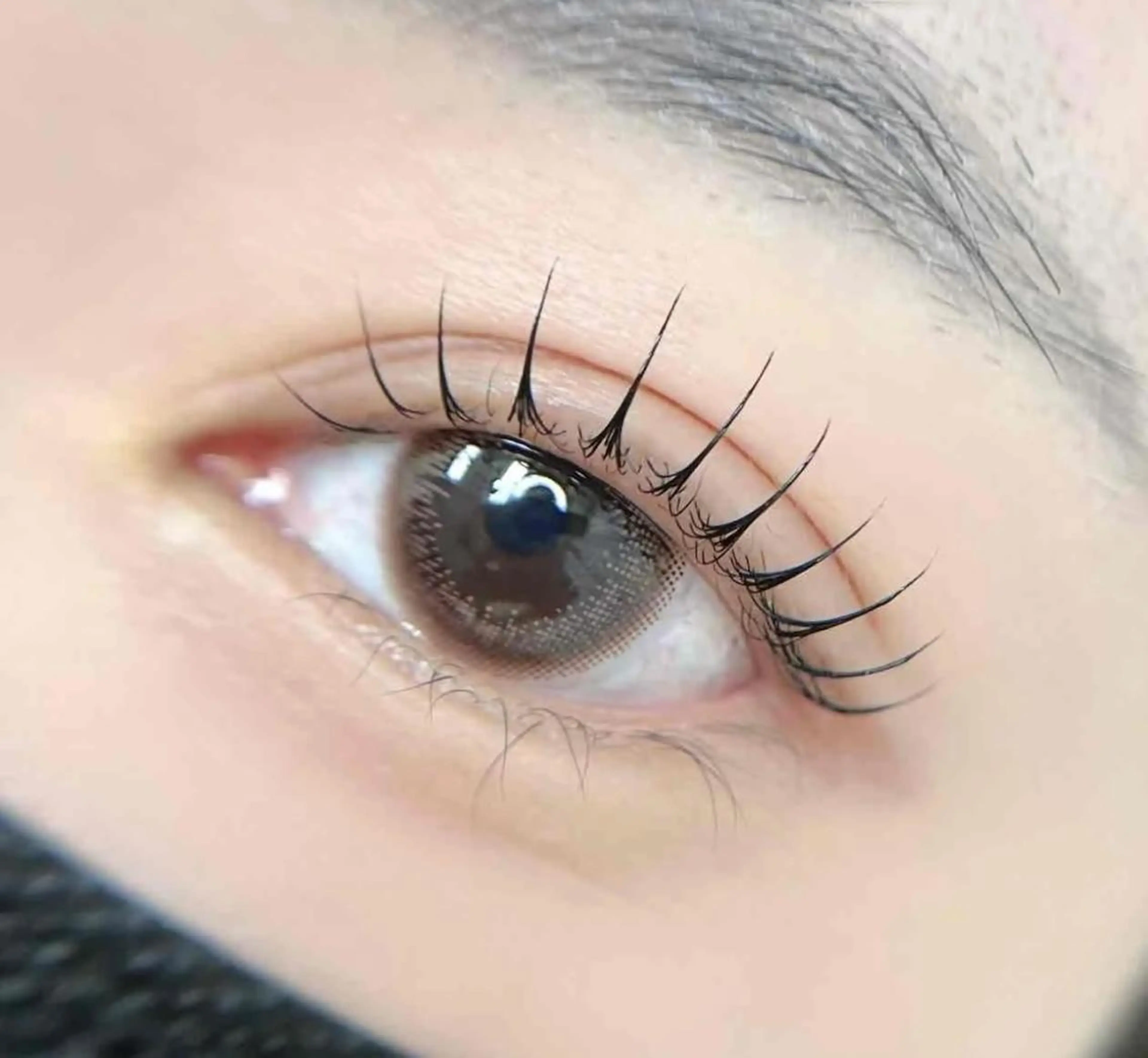 【パリジェンヌラッシュリフト10月4日19時〜限定】¥0の写真