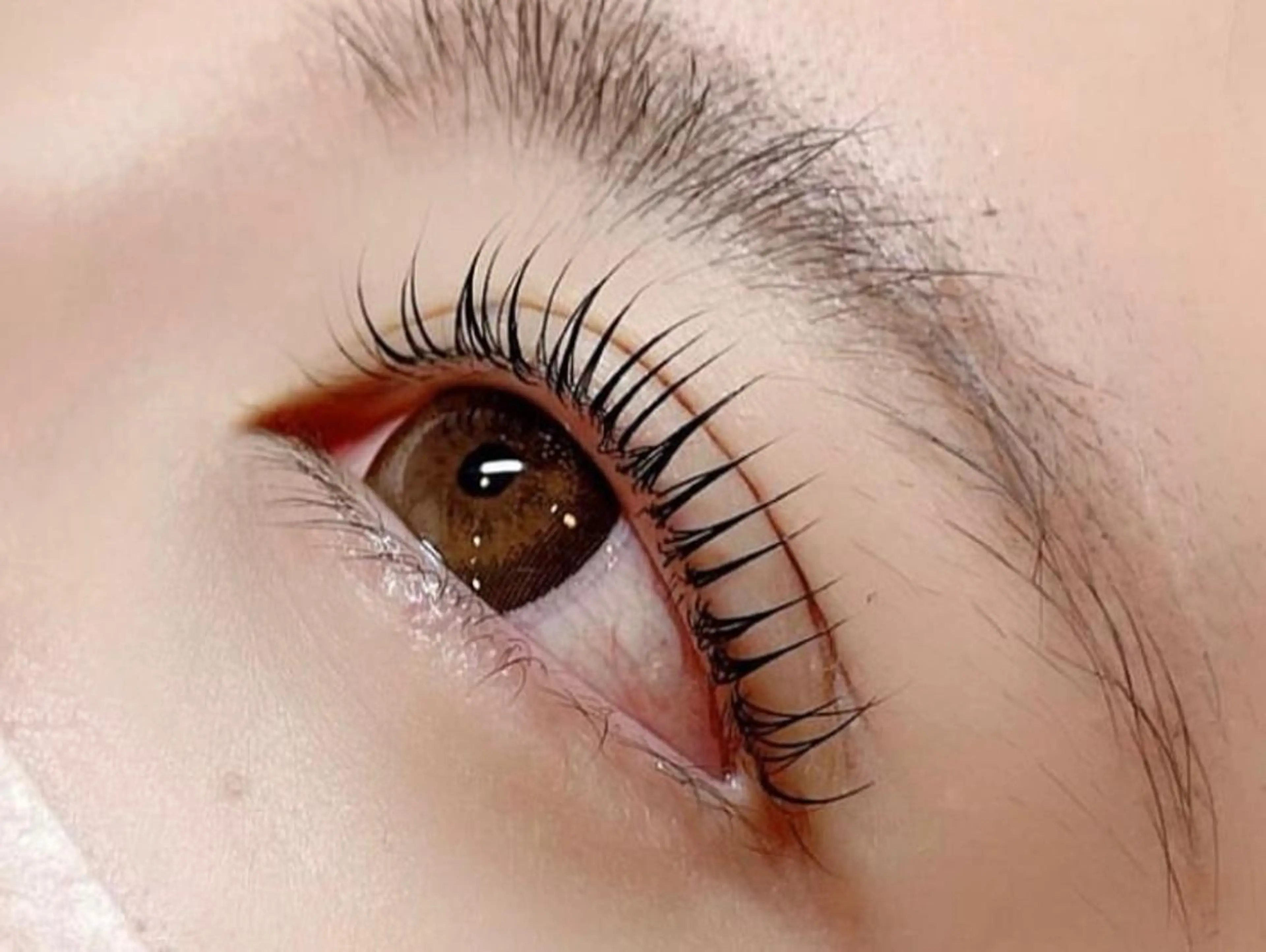マツエク・マツパ パリジェンヌラッシュリフト Eyelash Luaのマツエク・マツパデザイン