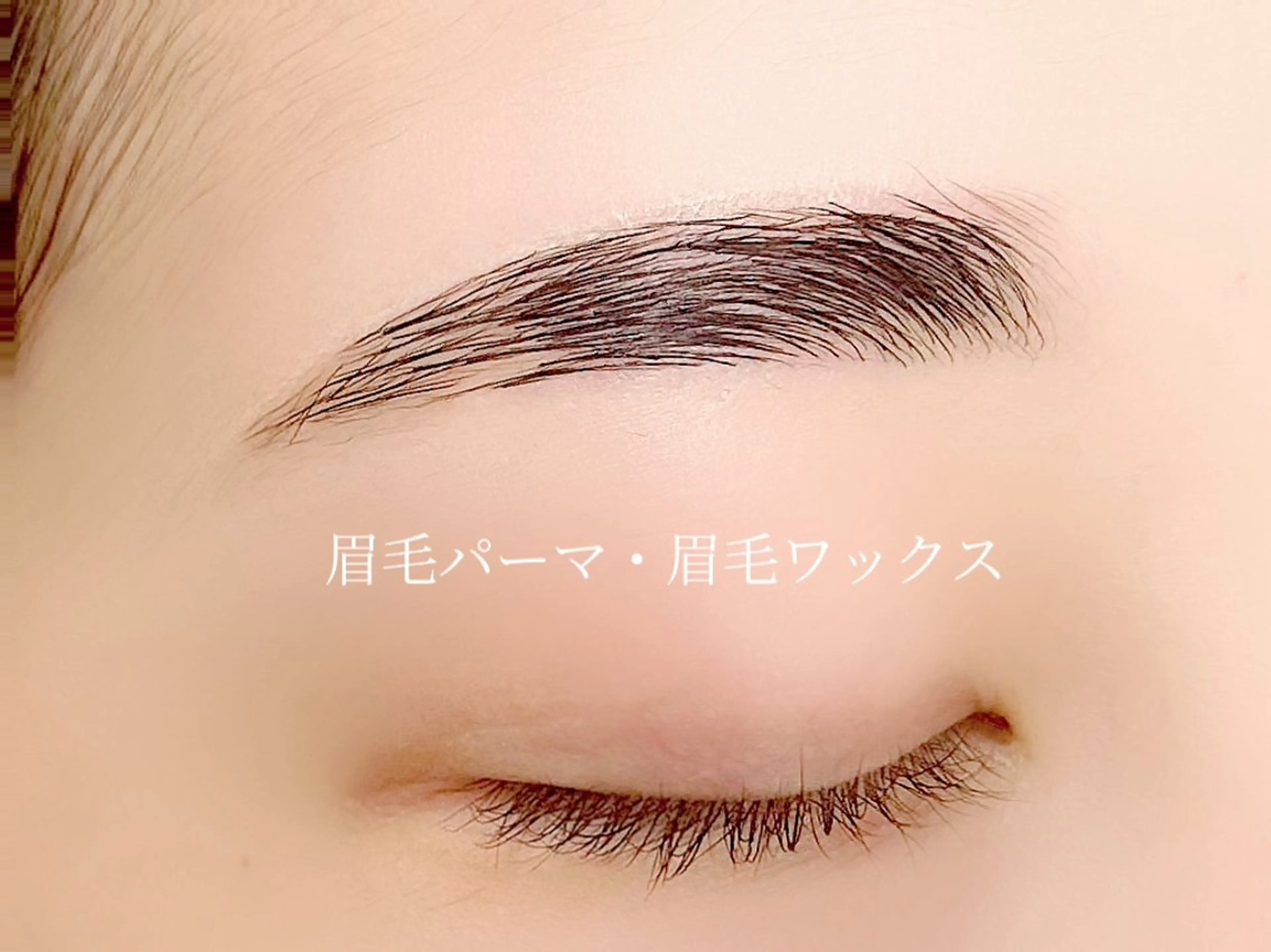 アイブロウ lucil 杉原の眉毛・アイブロウイメージ