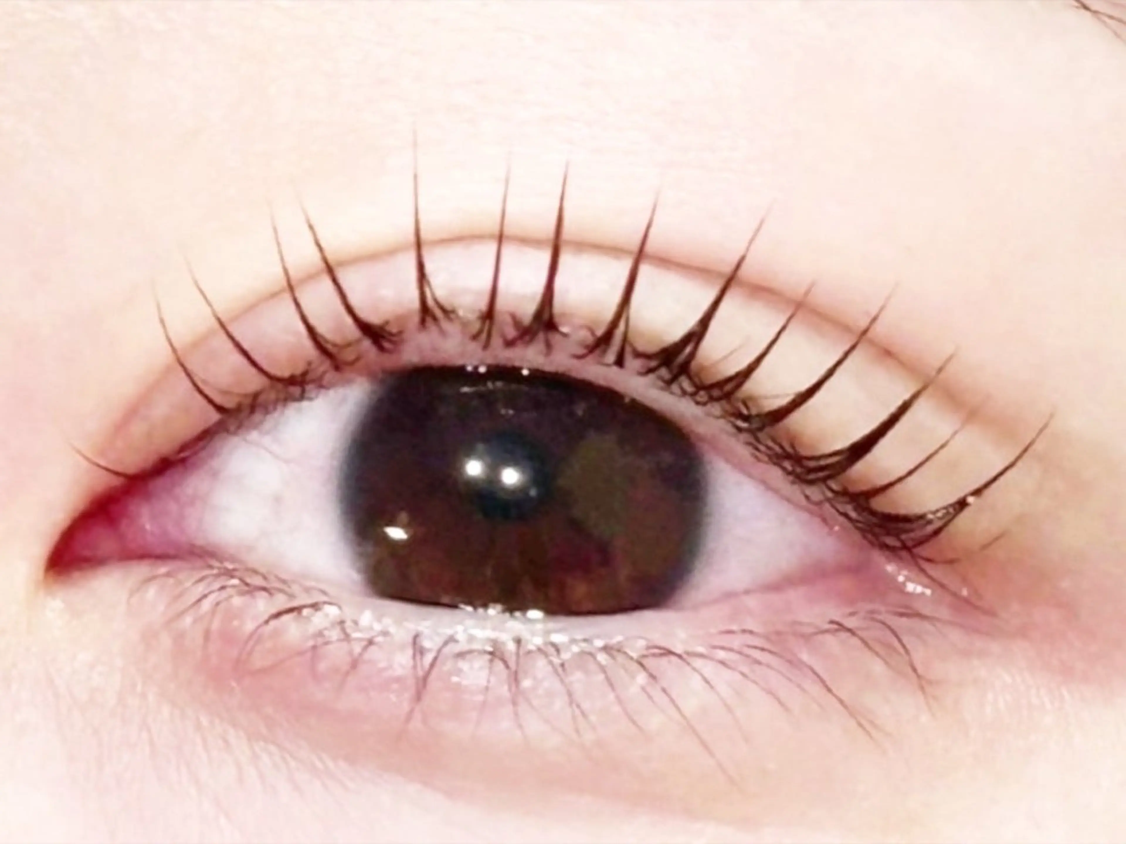 【当日限定🌷】パリジェンヌラッシュリフト＋コーティング🌷【リピーター様＋500円】の写真