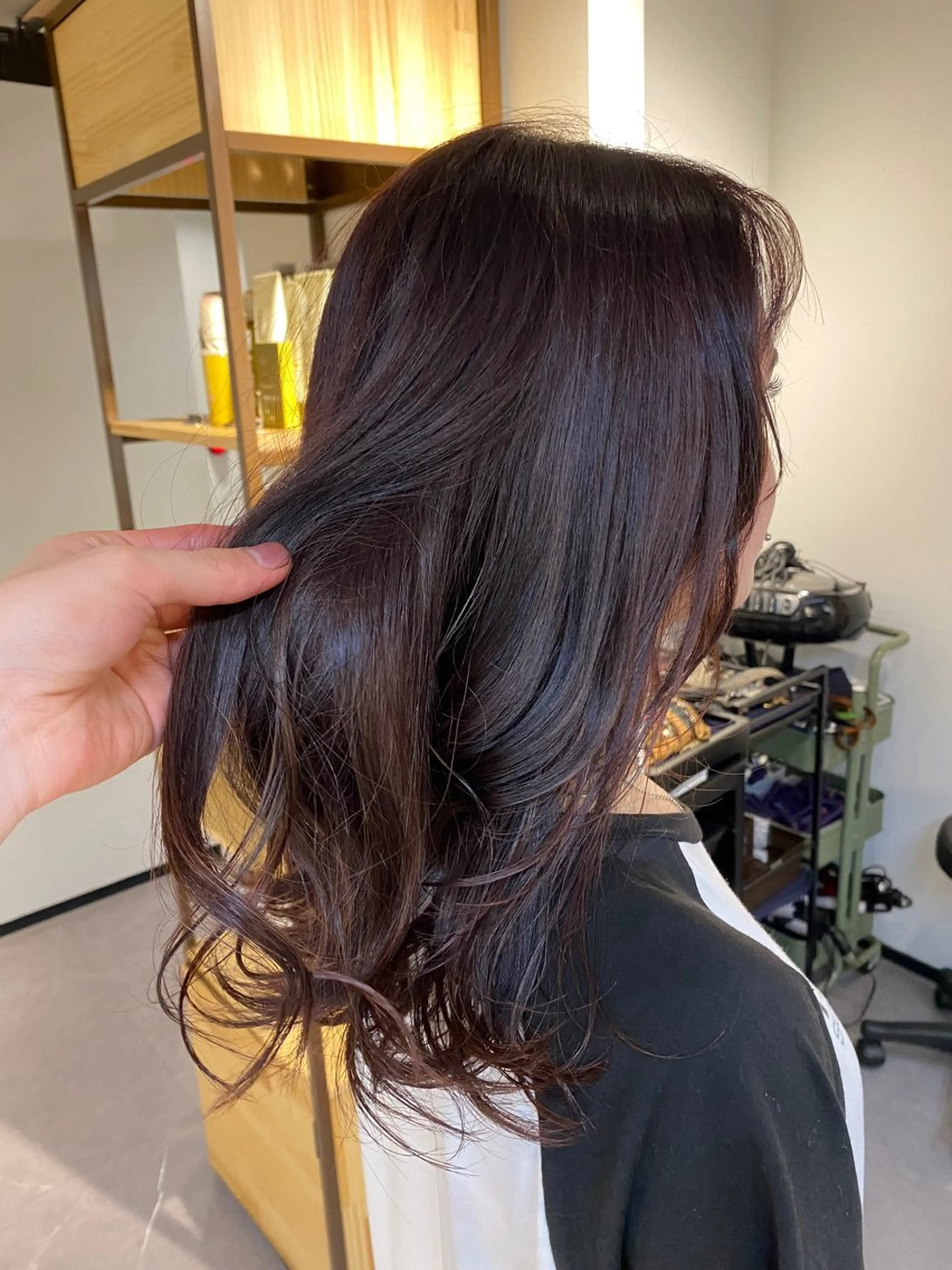 セミロング カラー ボルドーカラー LOuNICA銀座所属・透明感カラー/ カット/安田　伍輝のヘアスタイル