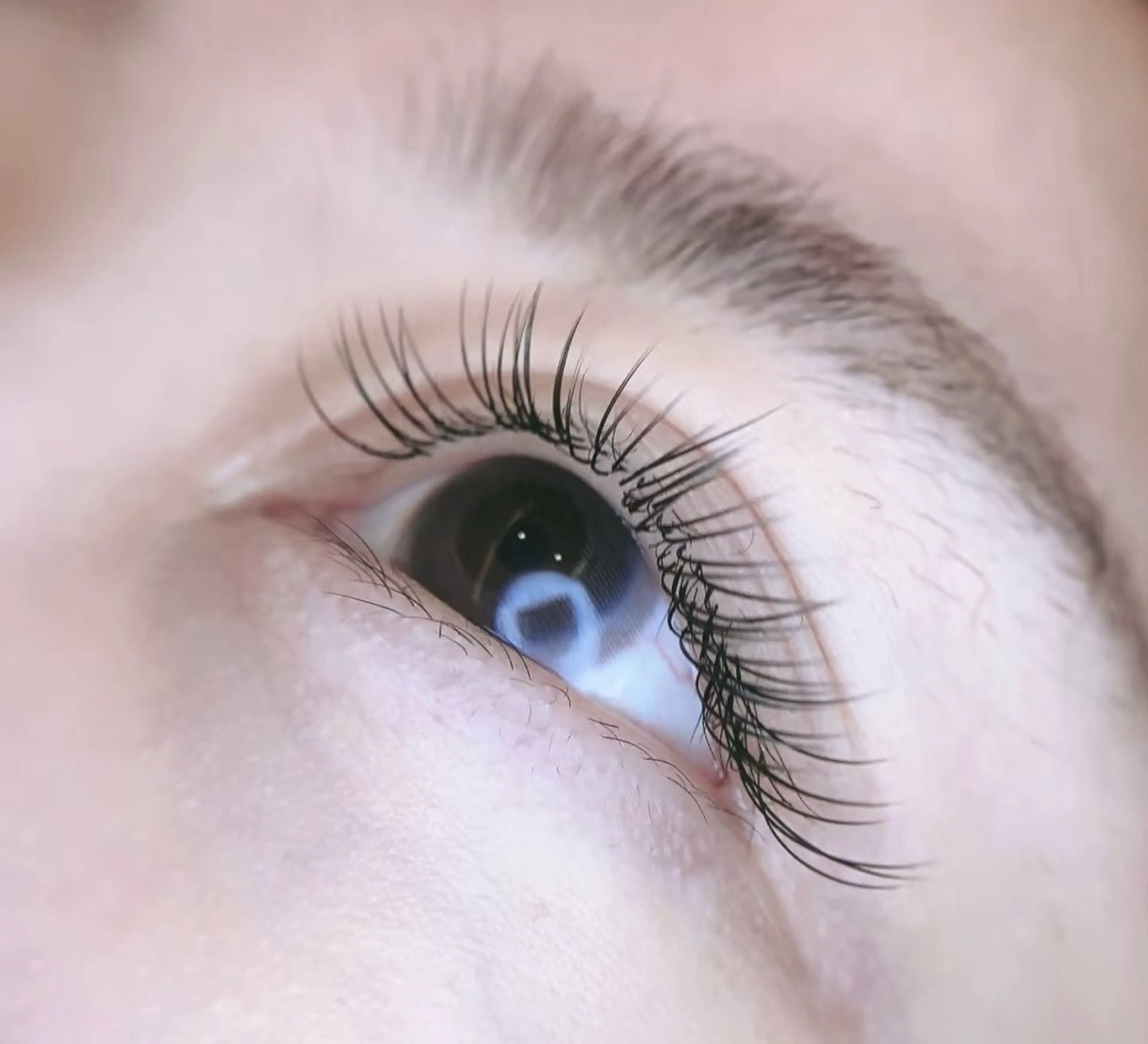 マツエク・マツパ L・ヒヒアイラッシュ 沐(moku)のマツエク・マツパデザイン