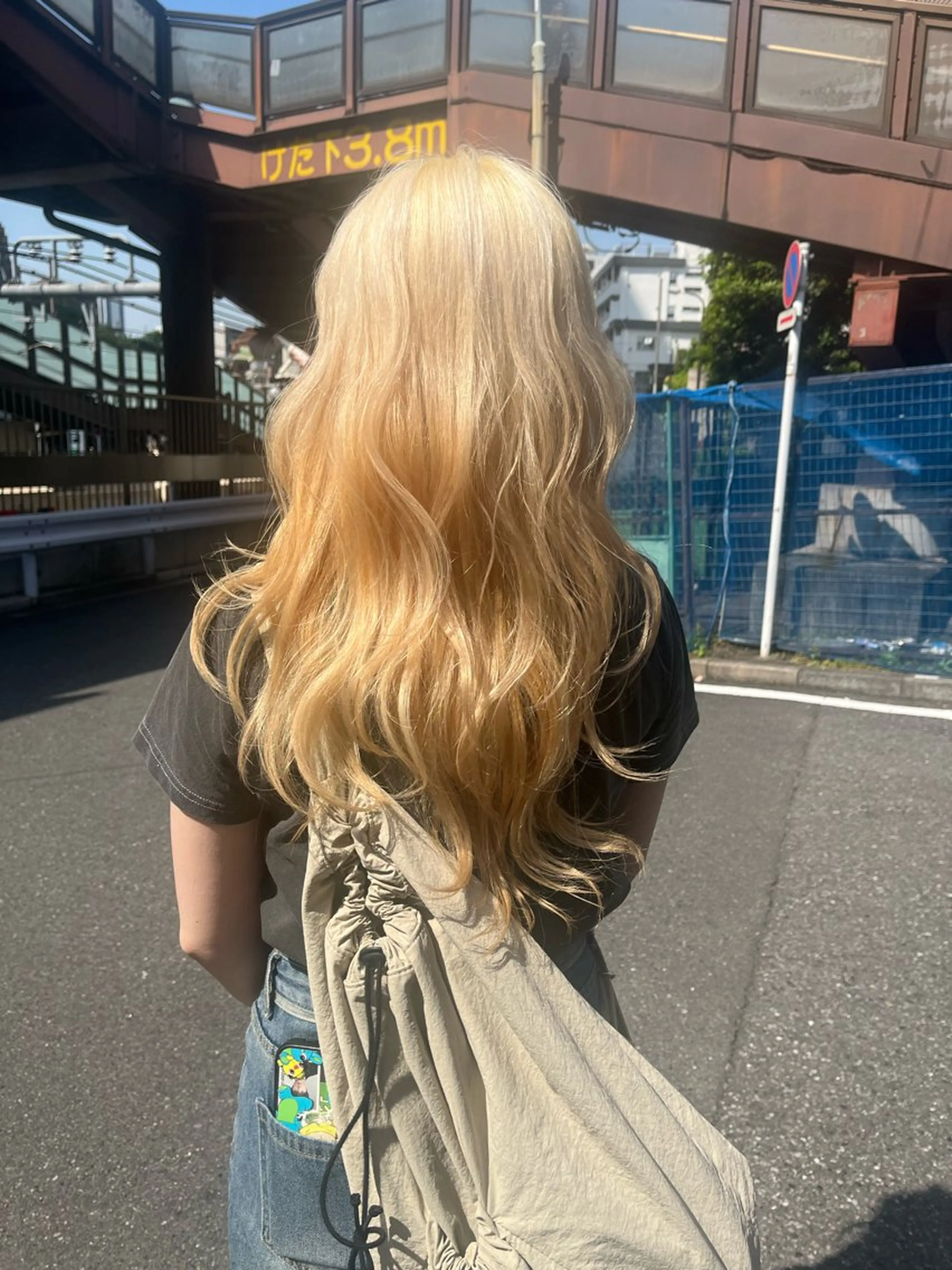 ロング カラー ブリーチ 抜きっぱなしブロンド ブロンド ヘアカラー 🦮shiori アイドルオタク🦮のヘアスタイル
