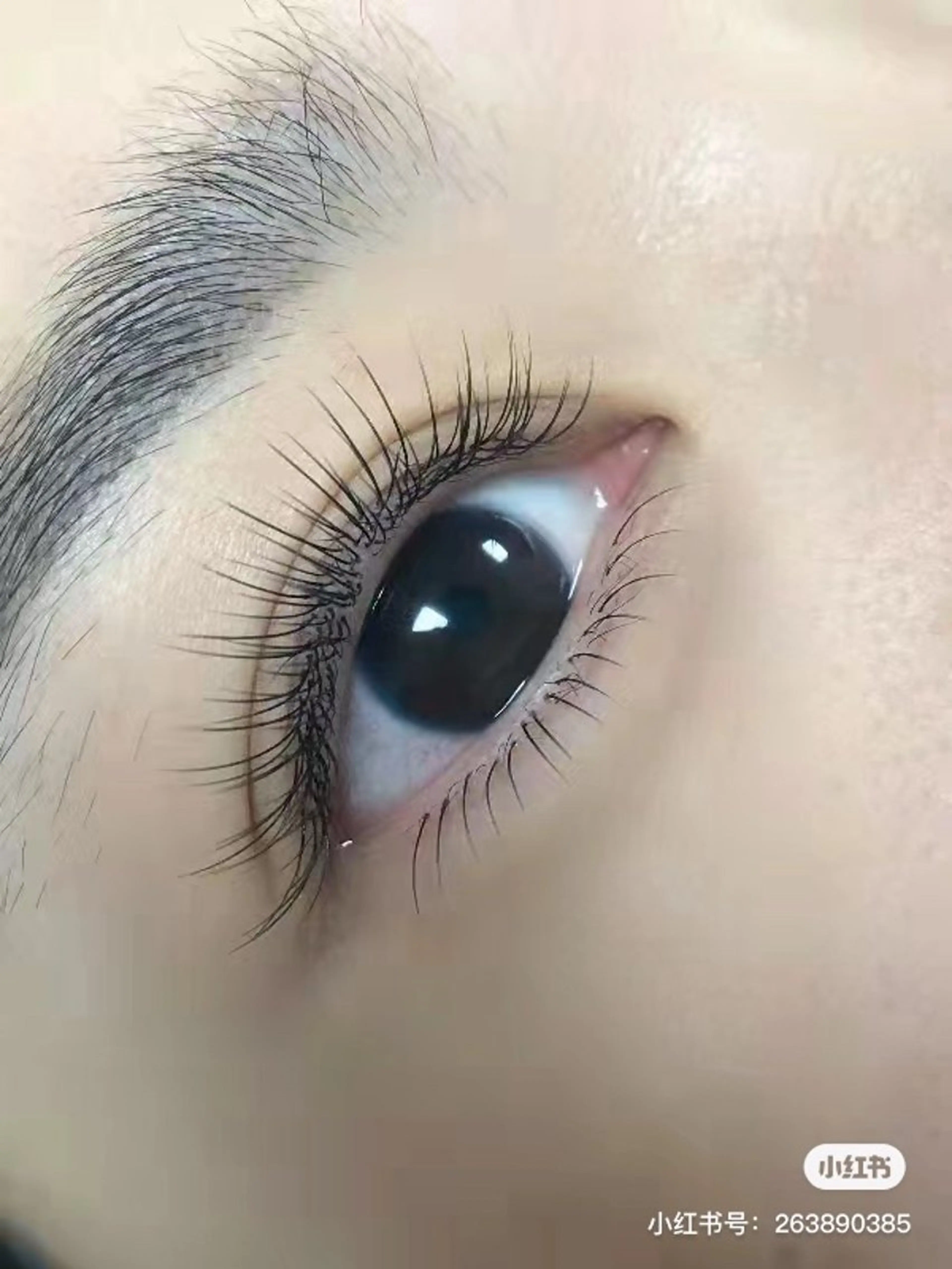 マツエク・マツパ バインドロック フラットラッシュ ナチュラル パリジェンヌラッシュリフト まつげパーマ YK 美學院のネイルデザイン