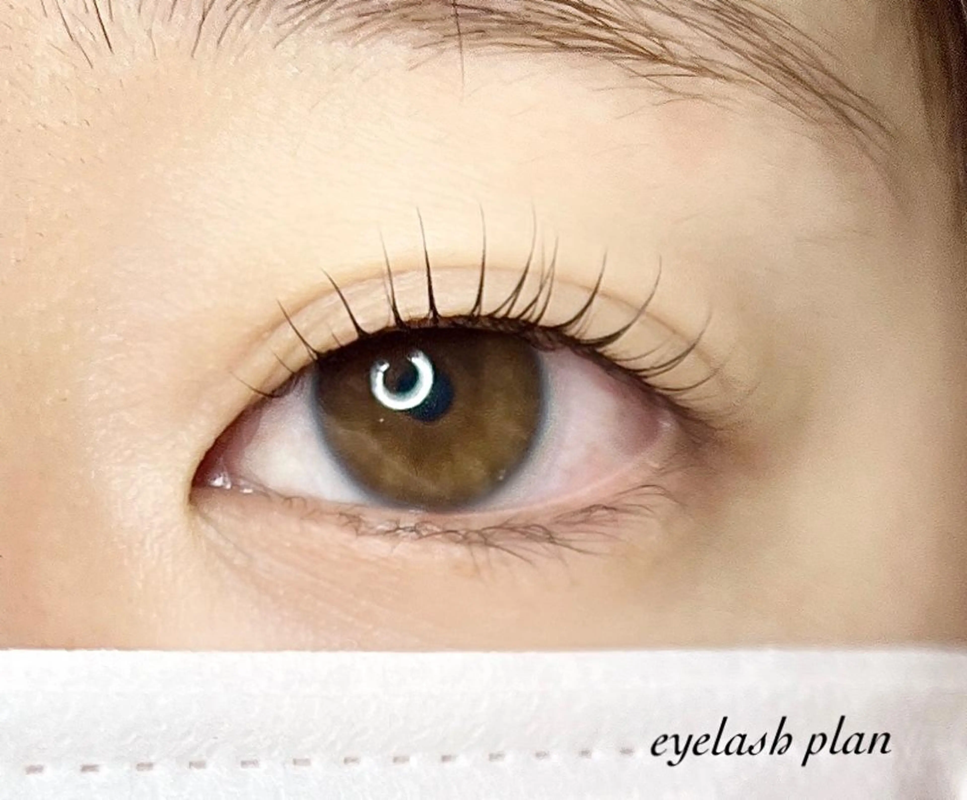 マツエク・マツパ マツパ eyelash plan api所属・【plan】 kaoriのマツエク・マツパデザイン