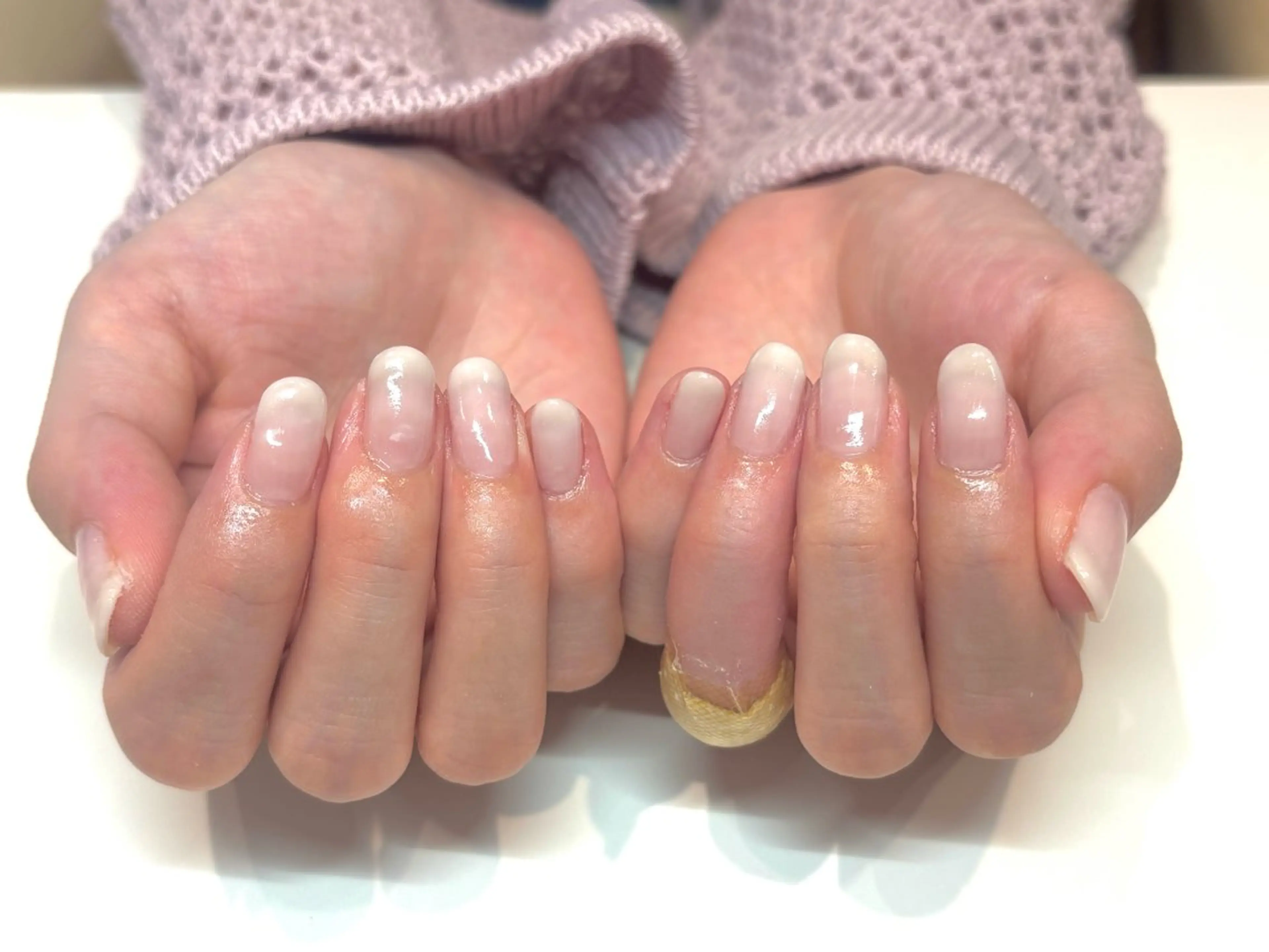グラデーションの写真