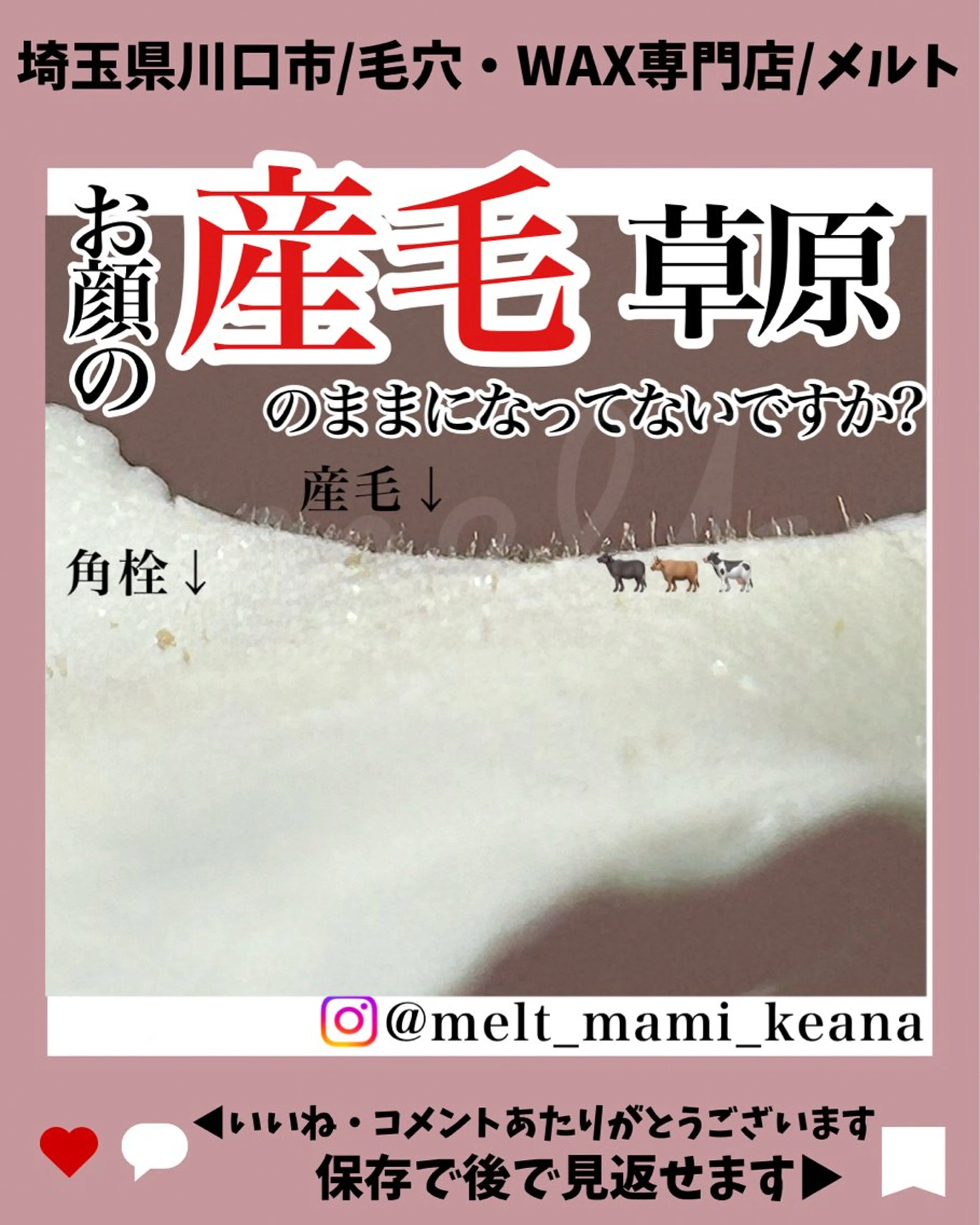 melt まみのマツエク・マツパデザイン