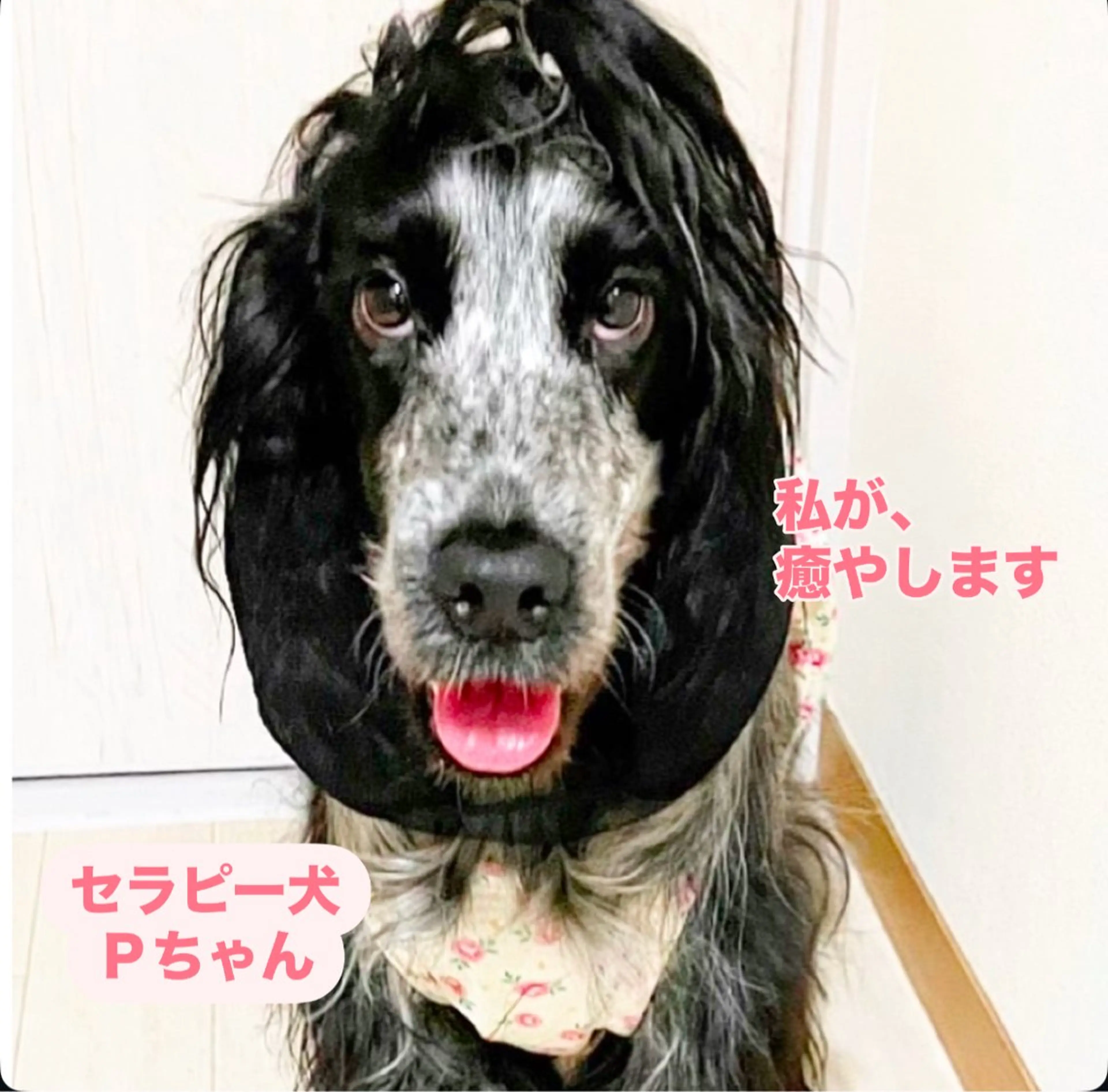 エステ リラク からだ想いの優しい 体質改善サロンのエステ・リラクイメージ