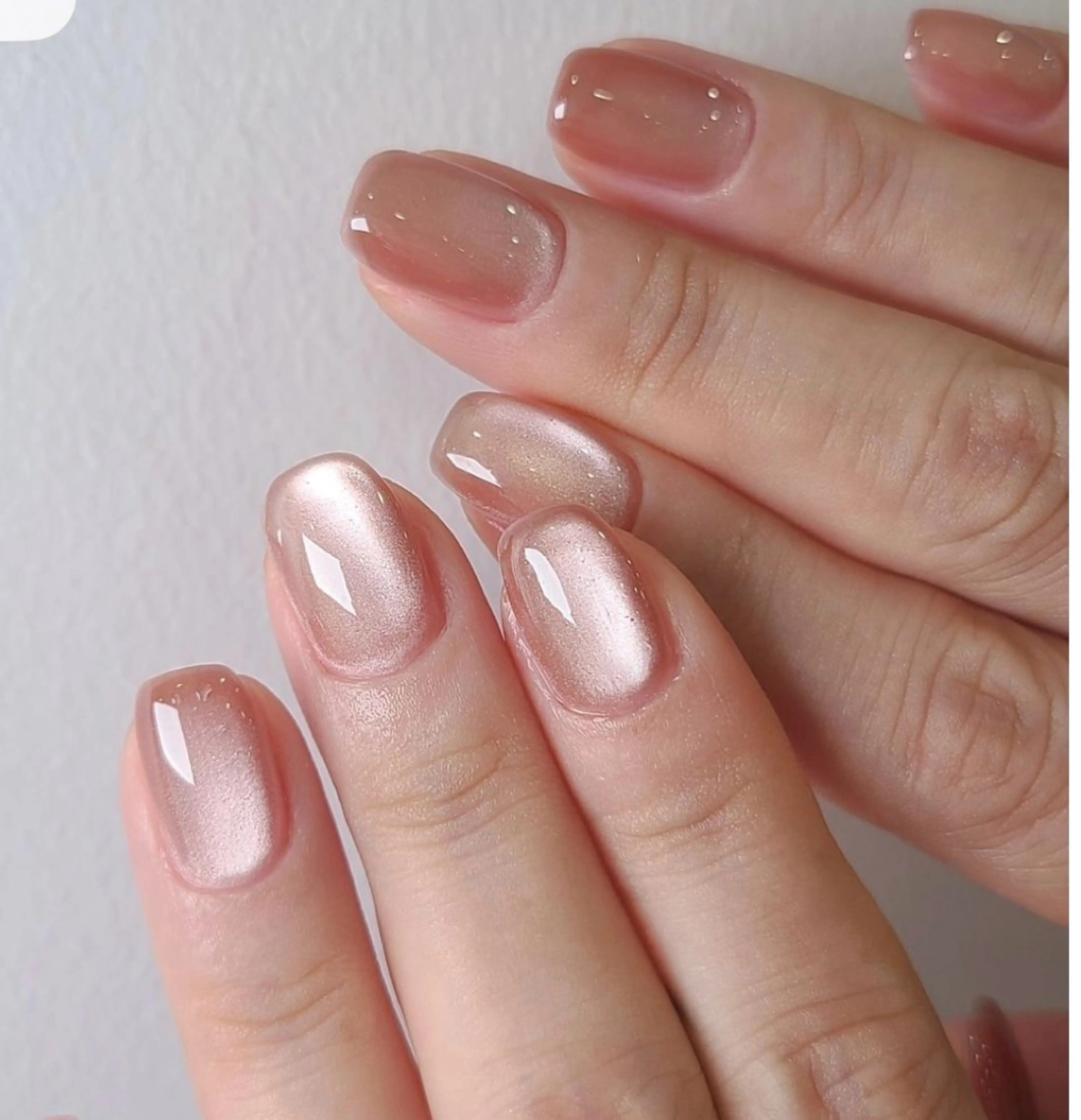 マグネット(つるつる)の写真