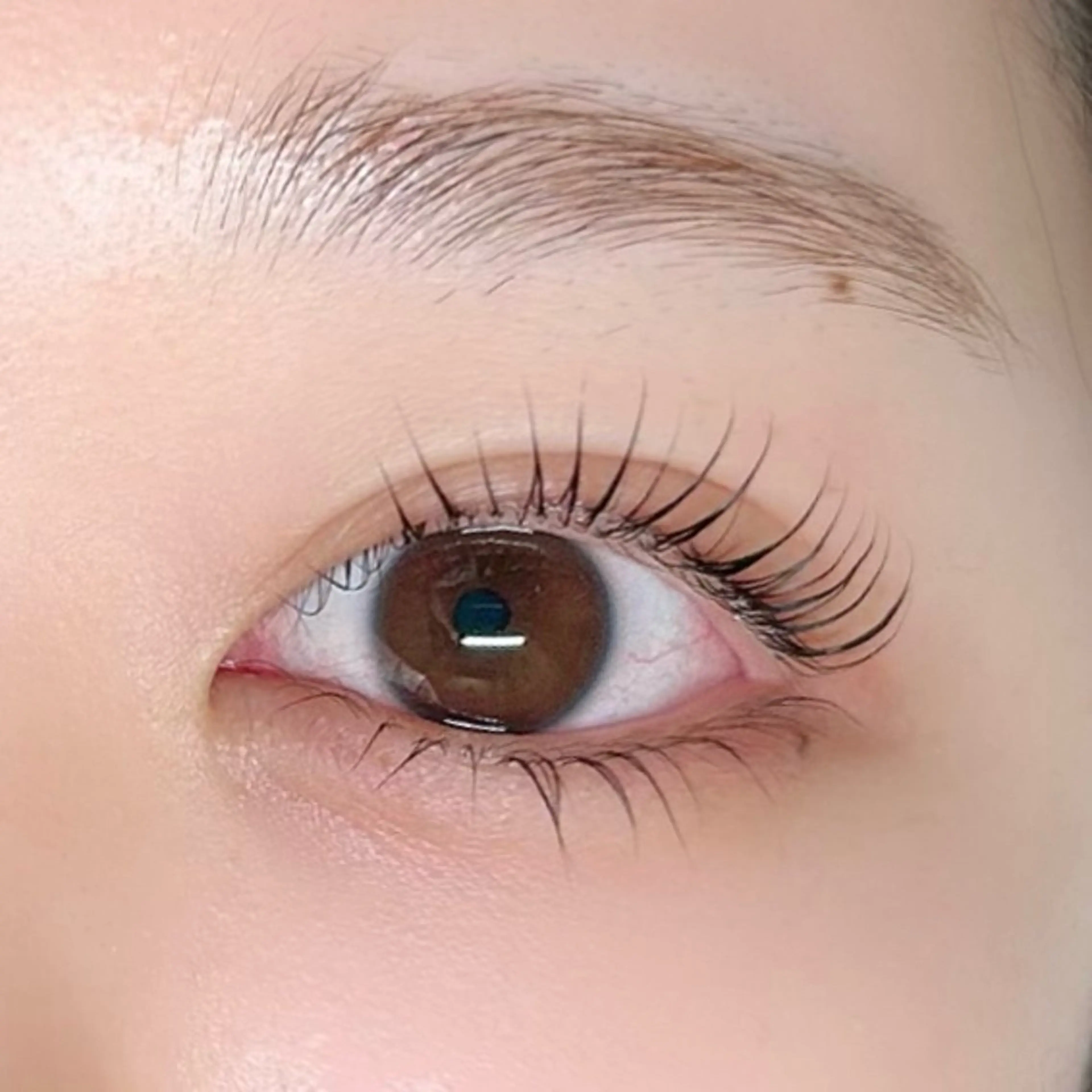 🌷ご新規様🌷【オーダーメイド】似合わせ・束感上下まつげパーマ🤍の写真