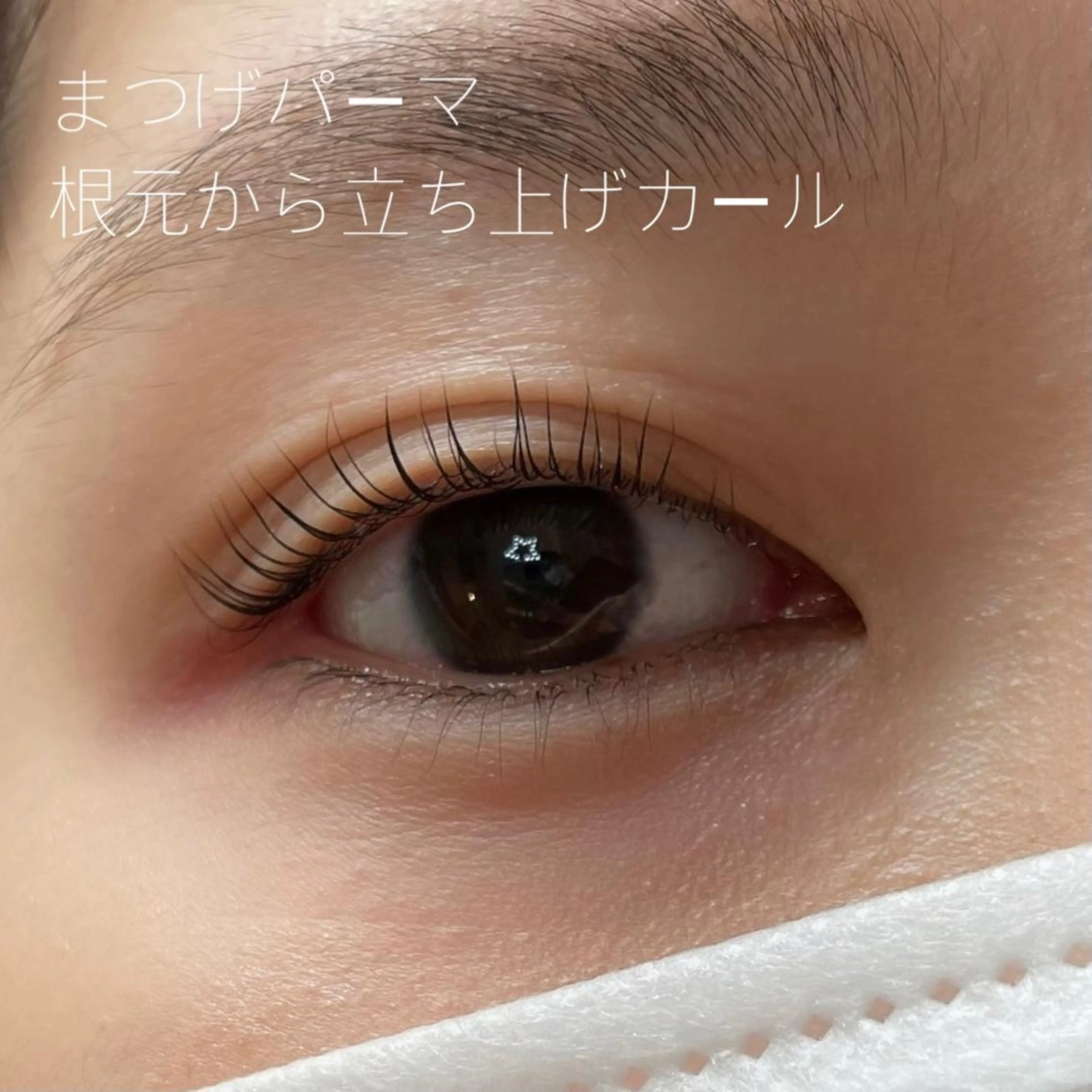 マツエク・マツパ GO TODAY SHAiRE SALON Vellmie店所属・吉祥寺kasumi 🌛eye/browのマツエク・マツパデザイン
