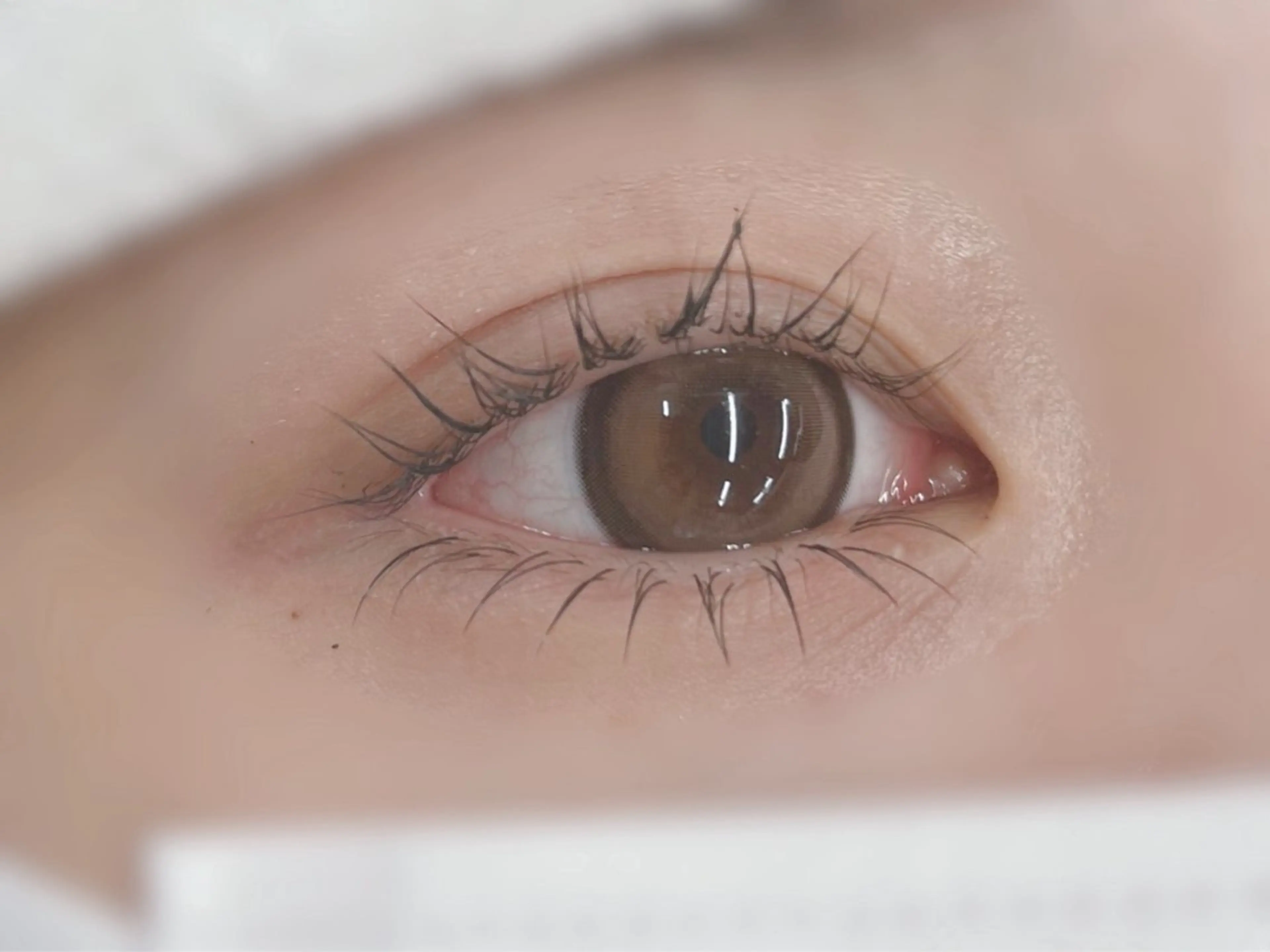 マツエク・マツパ 下まつげエクステ マツエク 🪼ひとみマツパ 特化半個室菊川店🪼のマツエク・マツパデザイン