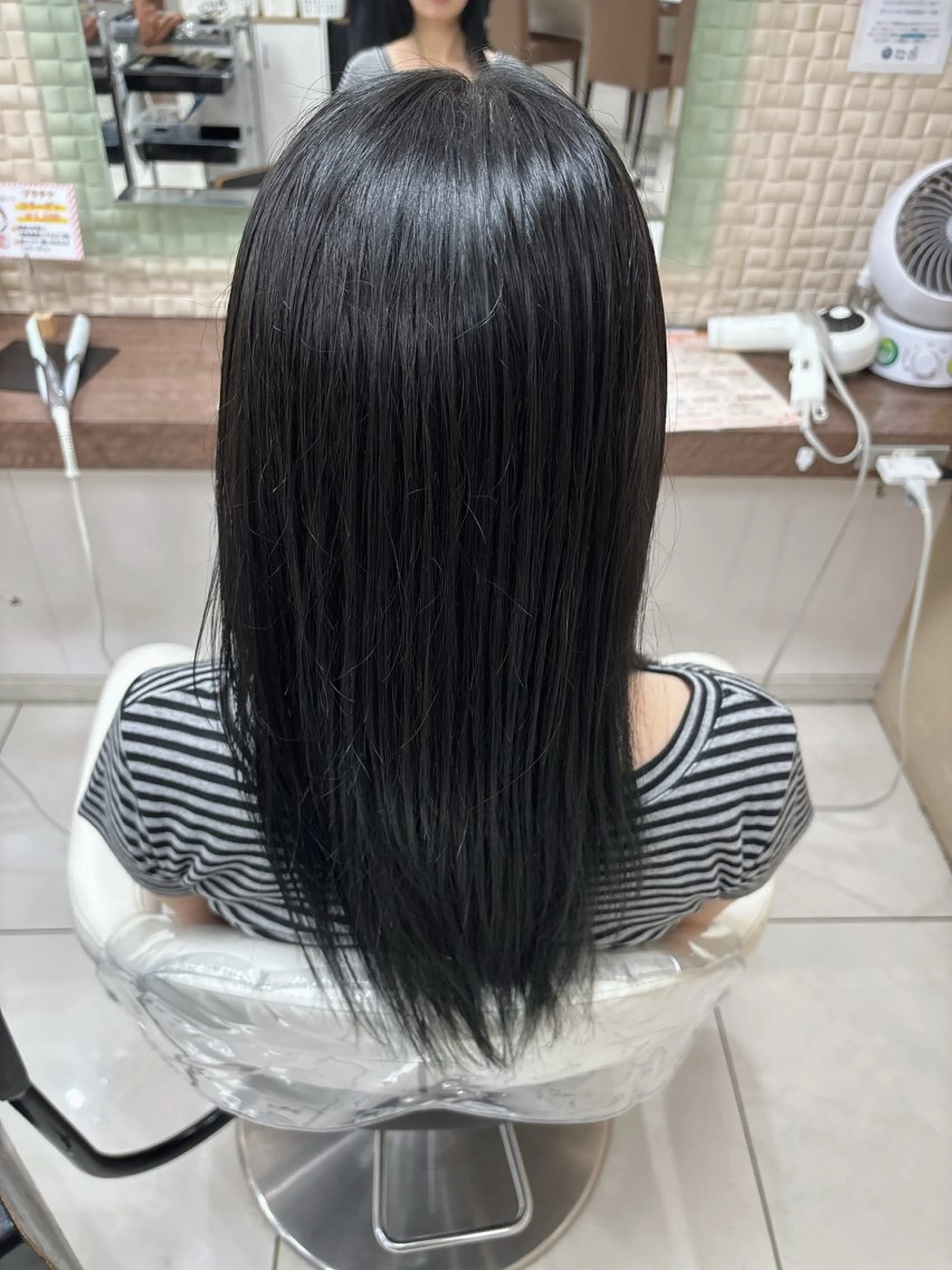 ファッションカラーの写真