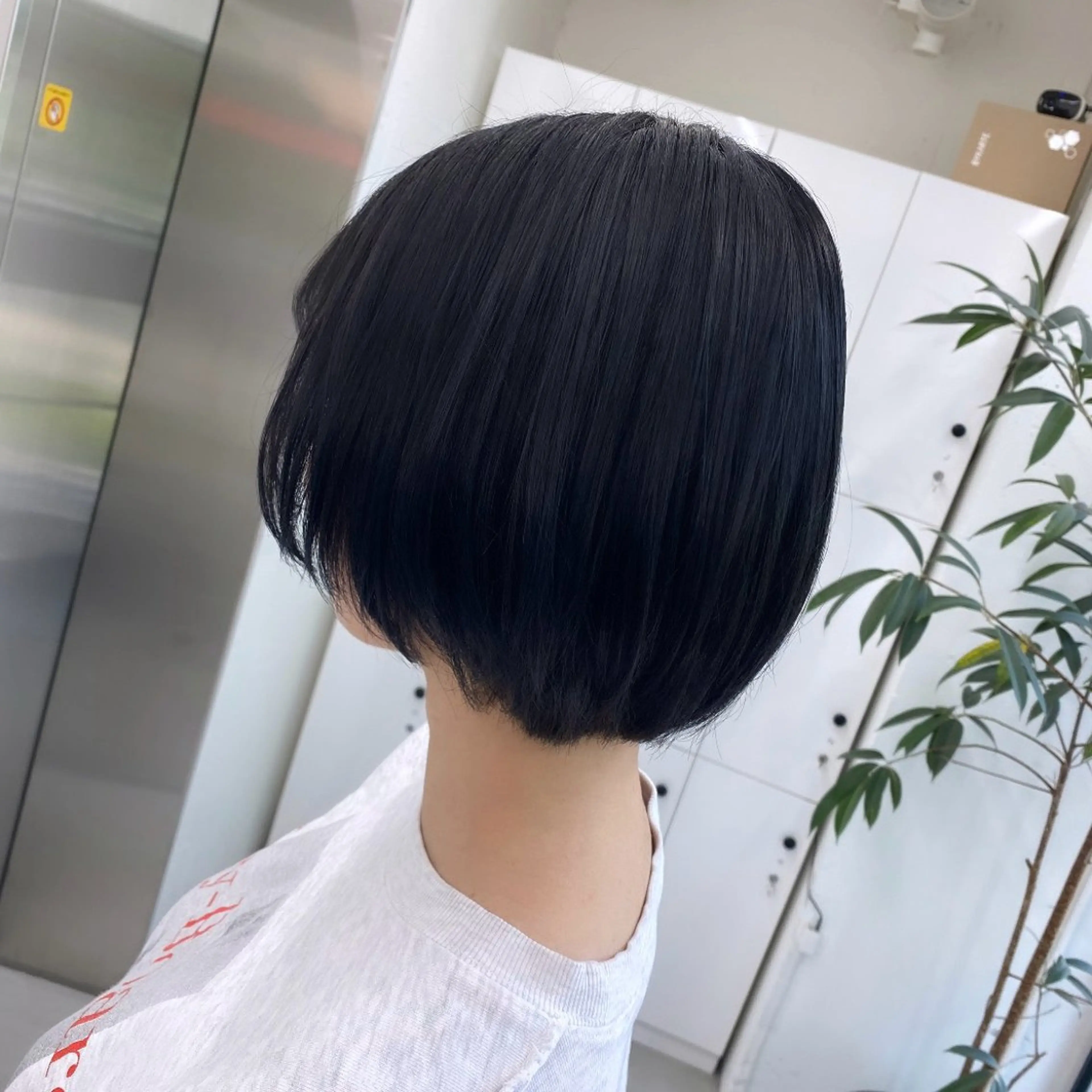 ショート カラー ヘアカラー トリートメント JILL🌟 せいゆのヘアスタイル