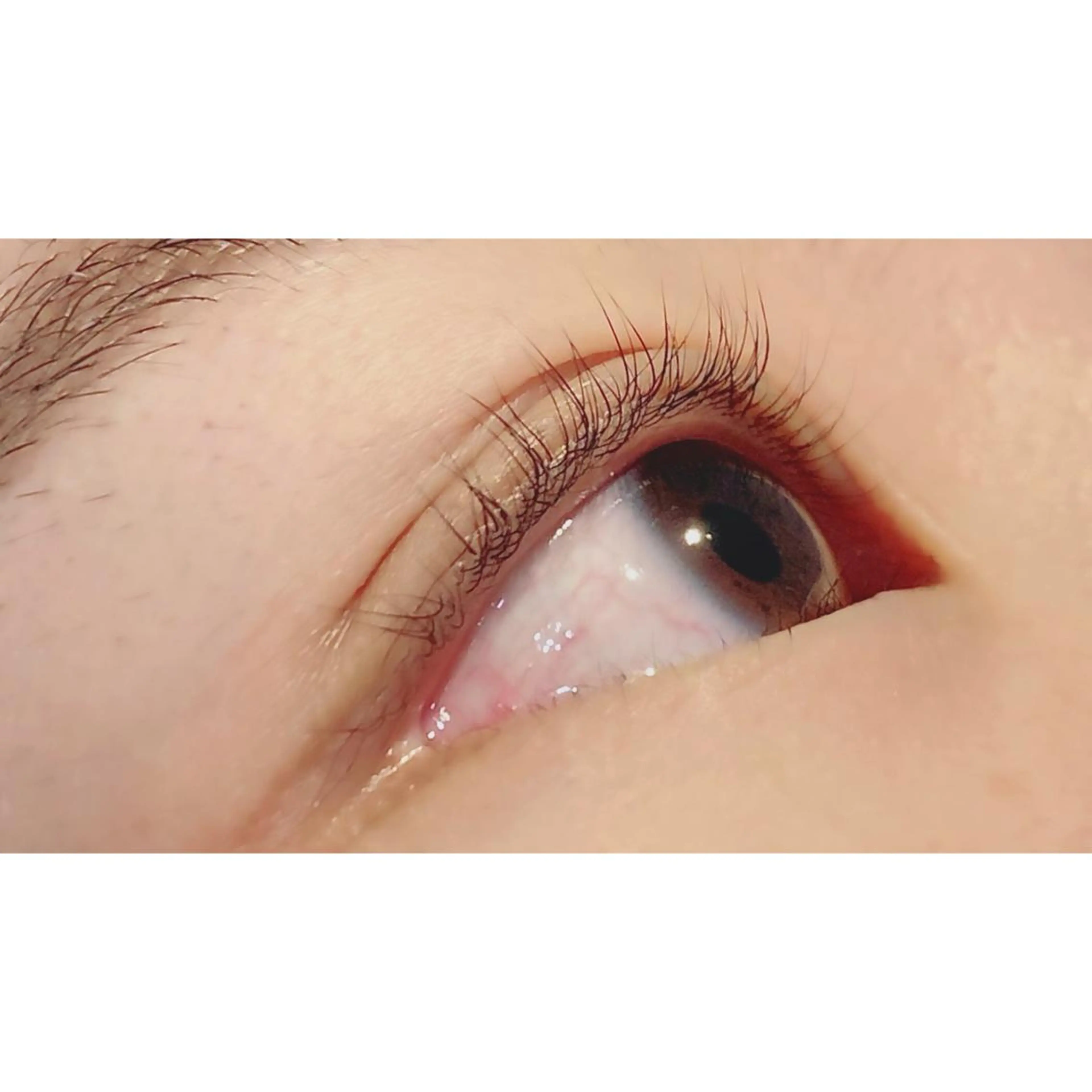 マツエク・マツパ パリジェンヌラッシュリフト Bianca 長津田店　長牛のマツエク・マツパデザイン