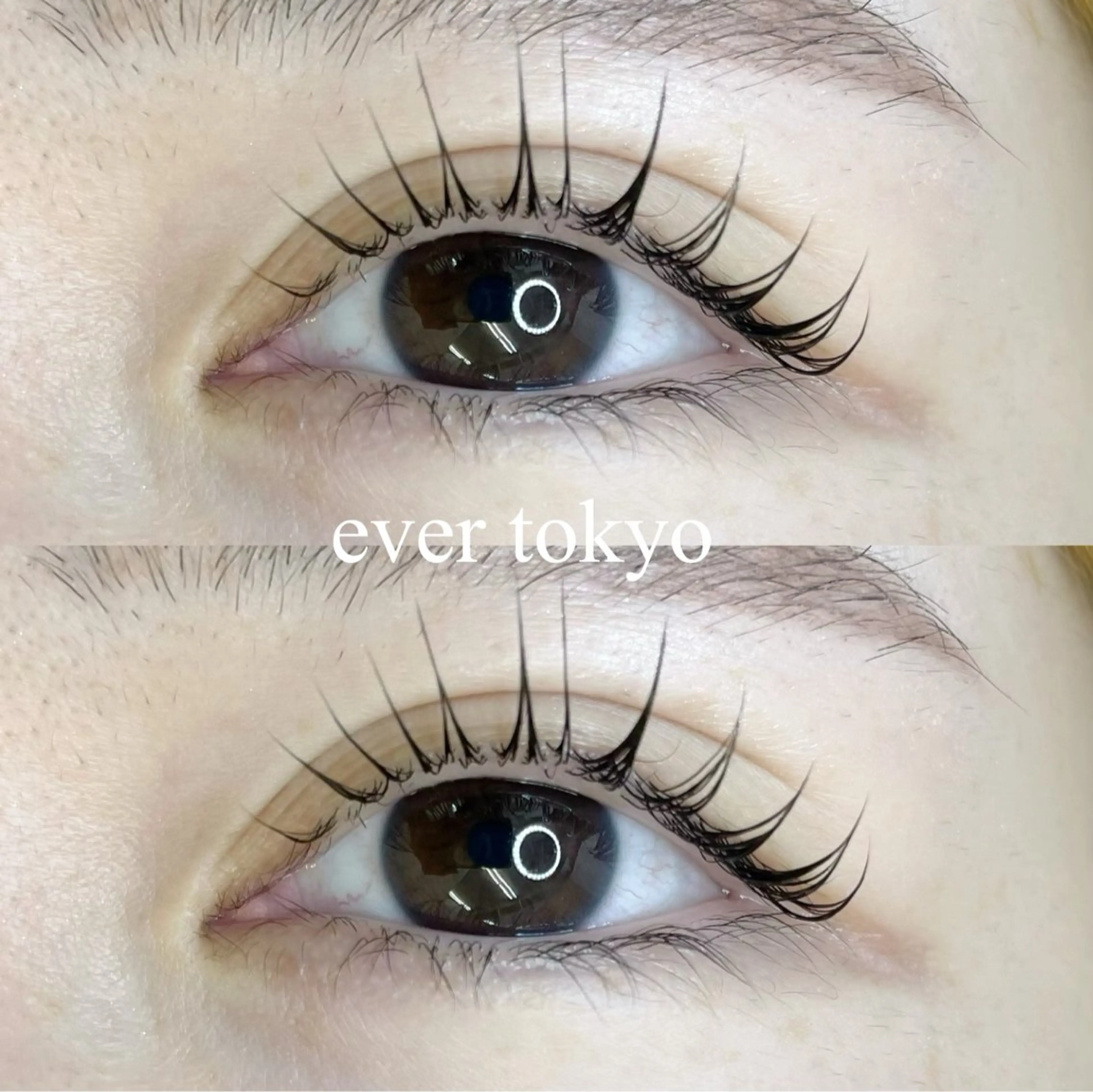 マツエク・マツパ Dカール Beckylash 麻布十番研修センターの眉毛・アイブロウイメージ