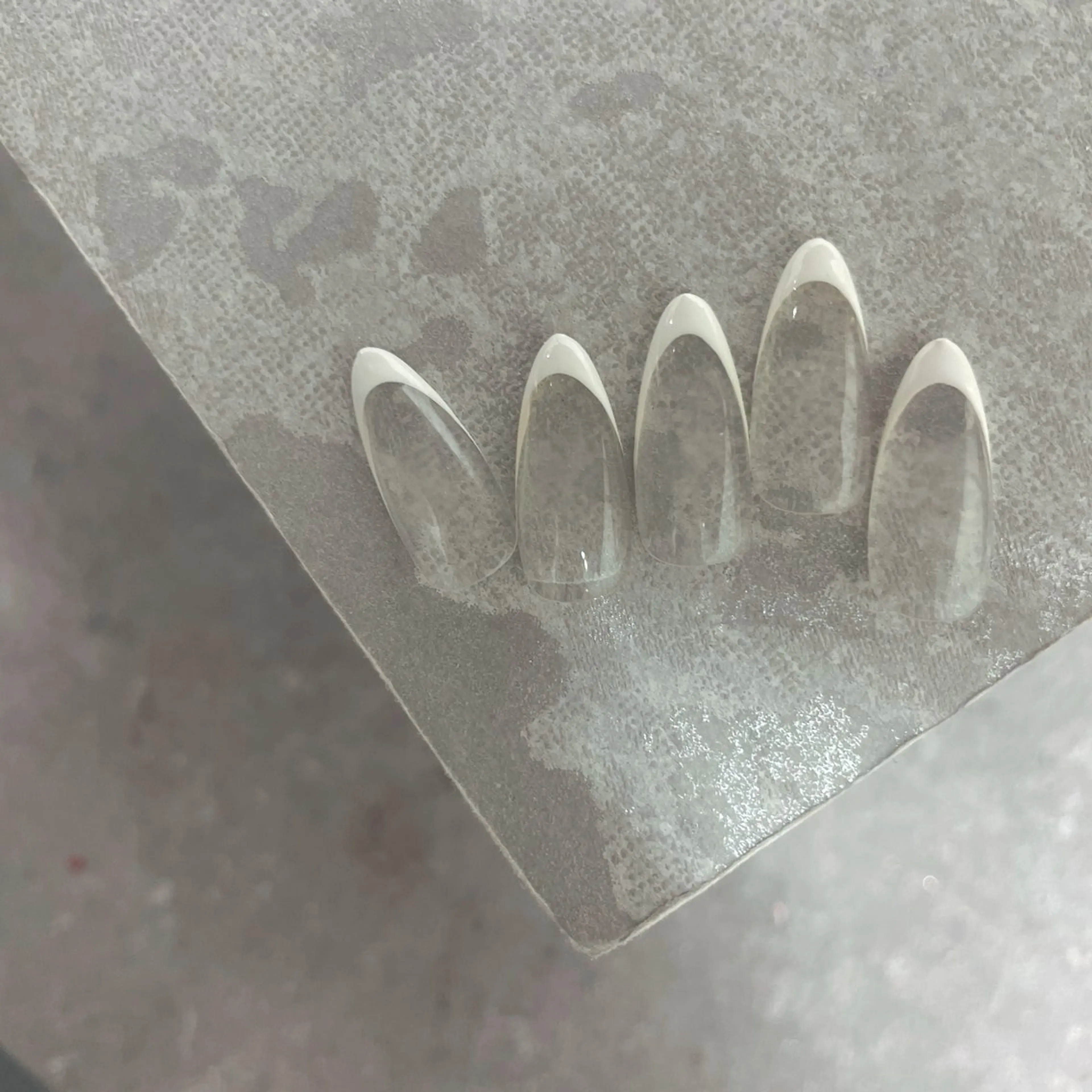 【オフ無】フレンチの写真