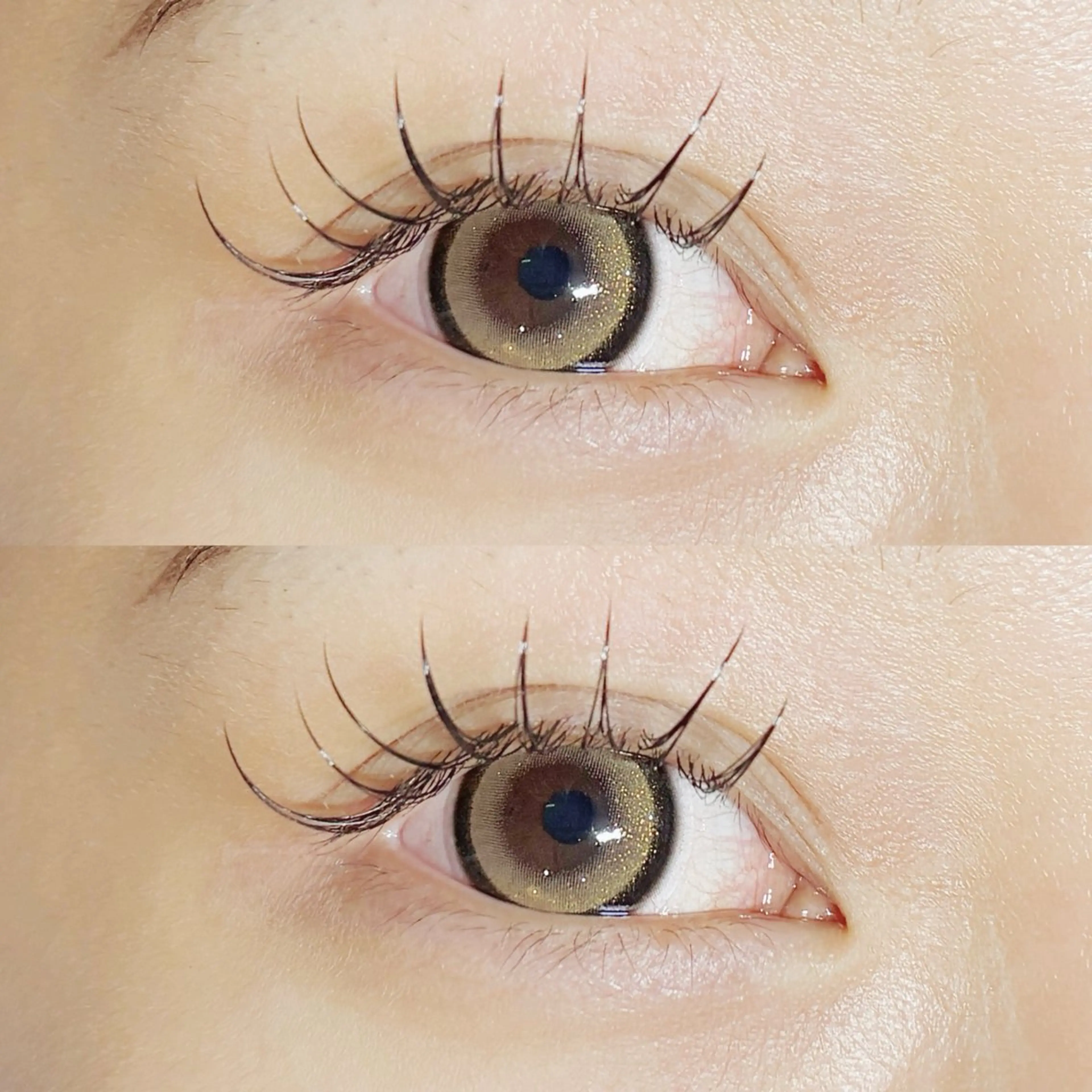 《🕊️ご新規様限定🕊️》 フラットラッシュ120本🦋𓂃 𓈒𓏸 【オフ無し】の写真