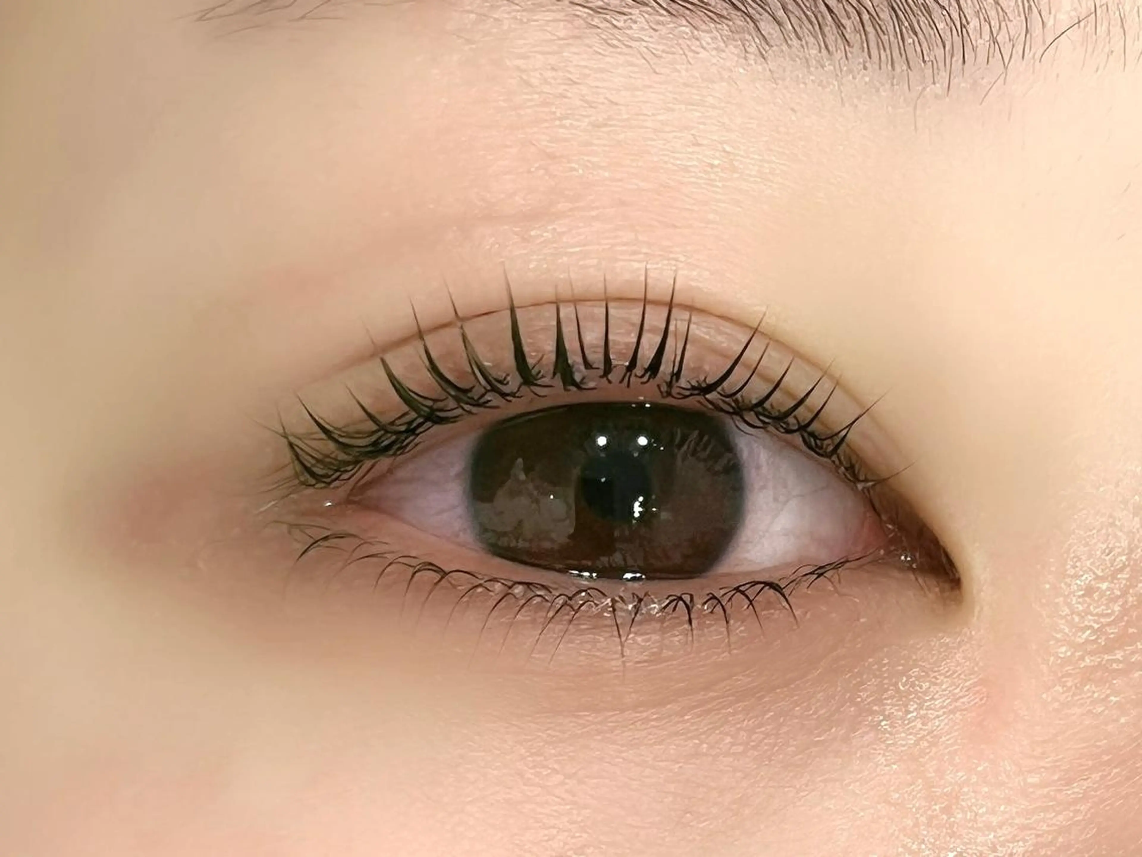 マツエク・マツパ マツパ 眉毛専門店 Ai Quickの眉毛・アイブロウイメージ