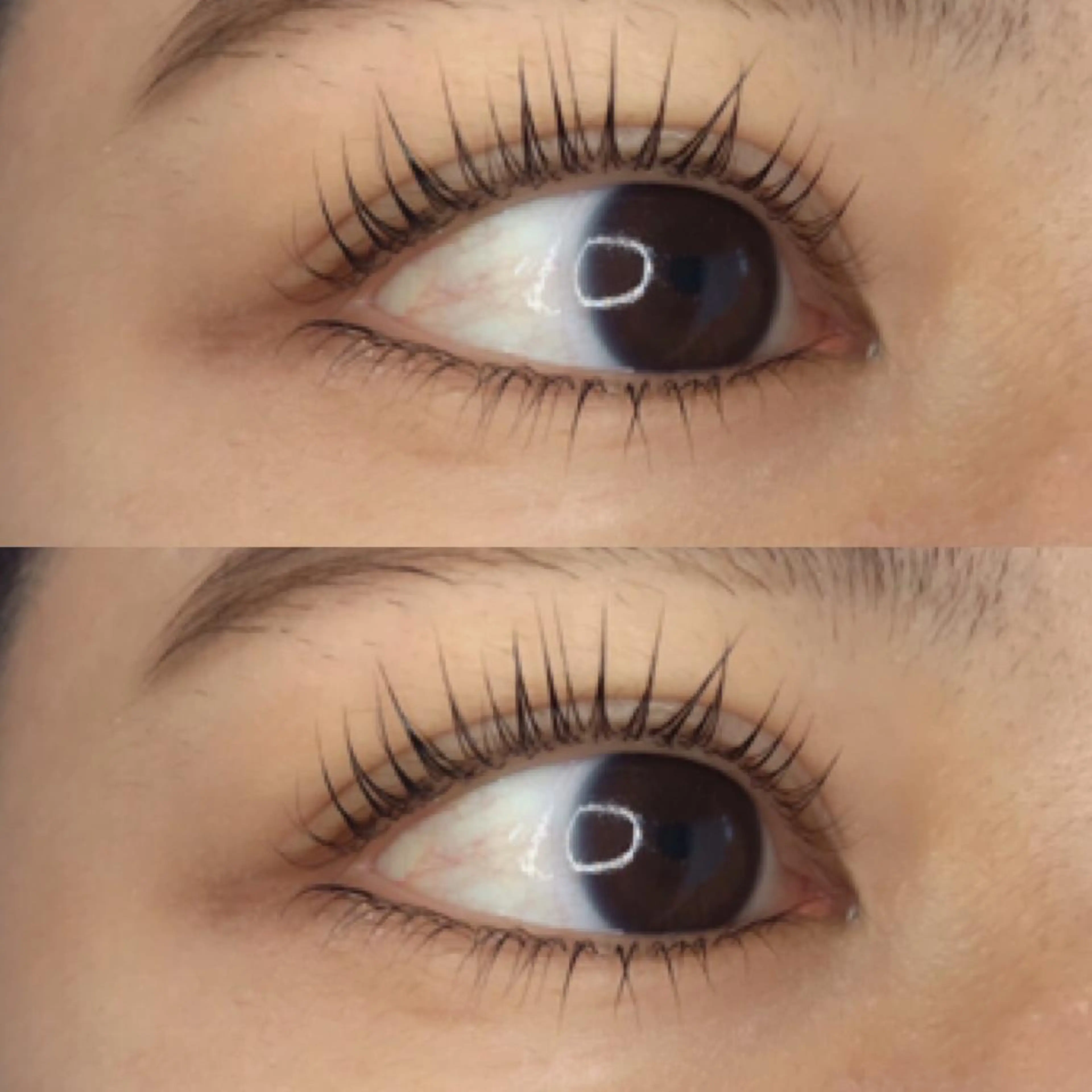 マツエク・マツパ マツパ 《eyelash ｉｉｔｅ》森のマツエク・マツパデザイン