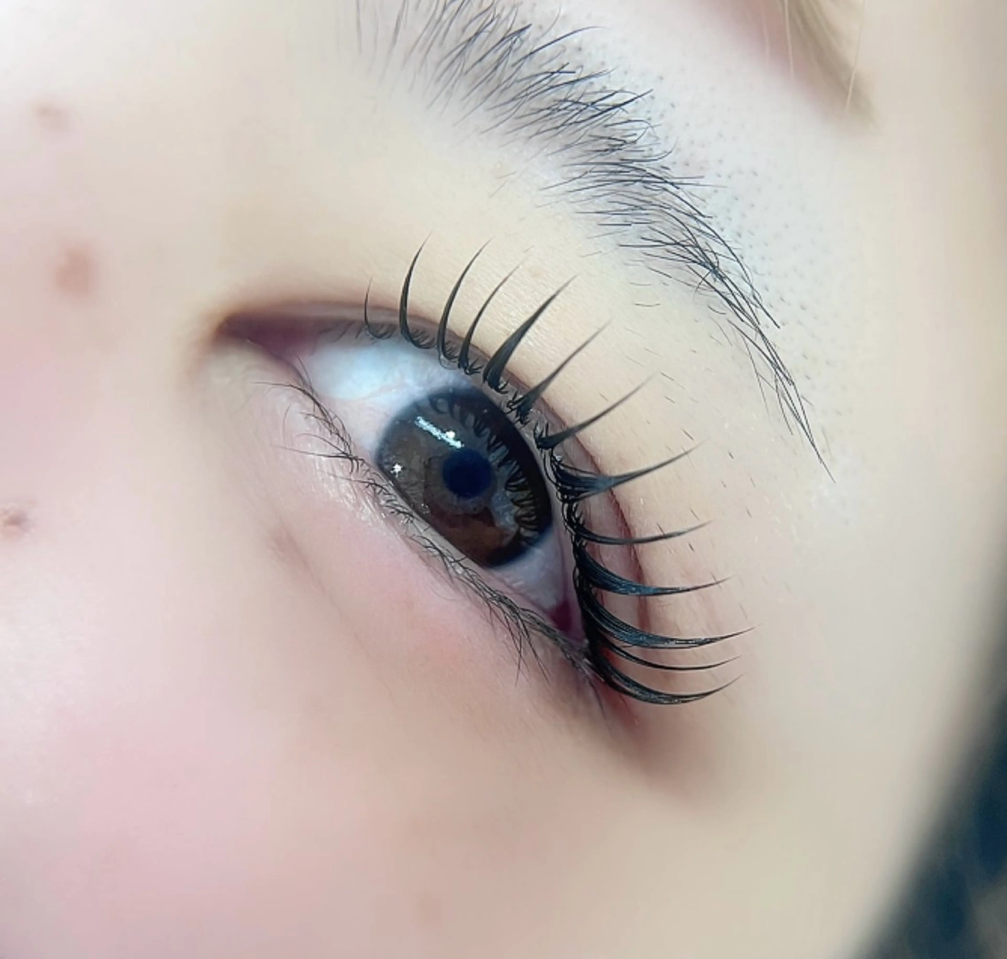 マツエク・マツパ マツパ mellow:所属・mellow: eyelashのマツエク・マツパデザイン