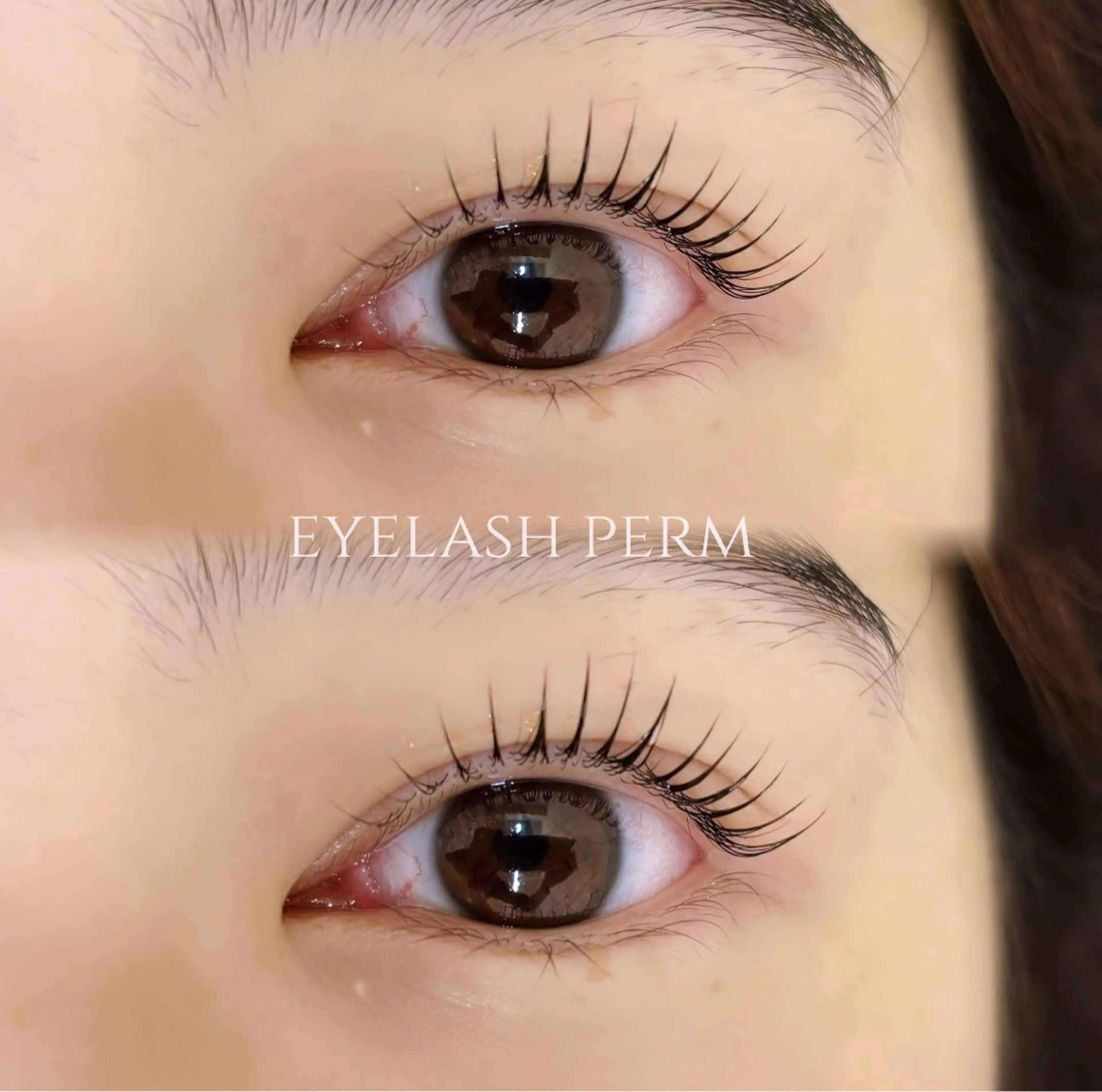 12月限定🎄❄️ミニモ限定価格《パリジェンヌラッシュリフトｏｒ似合わせラッシュリフト》の写真