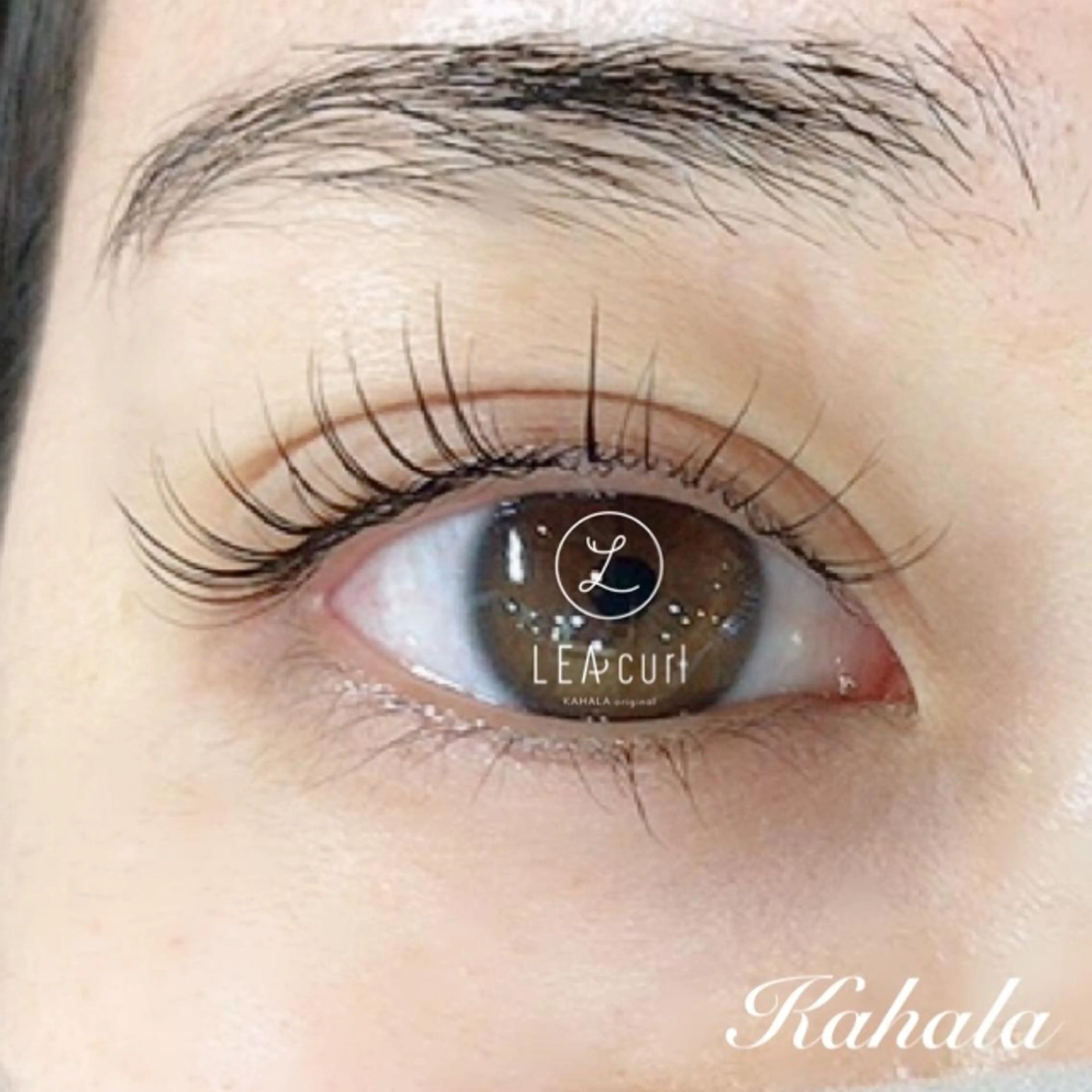 マツエク・マツパ Fujimoto 🦭⸝⋆꙳のマツエク・マツパデザイン