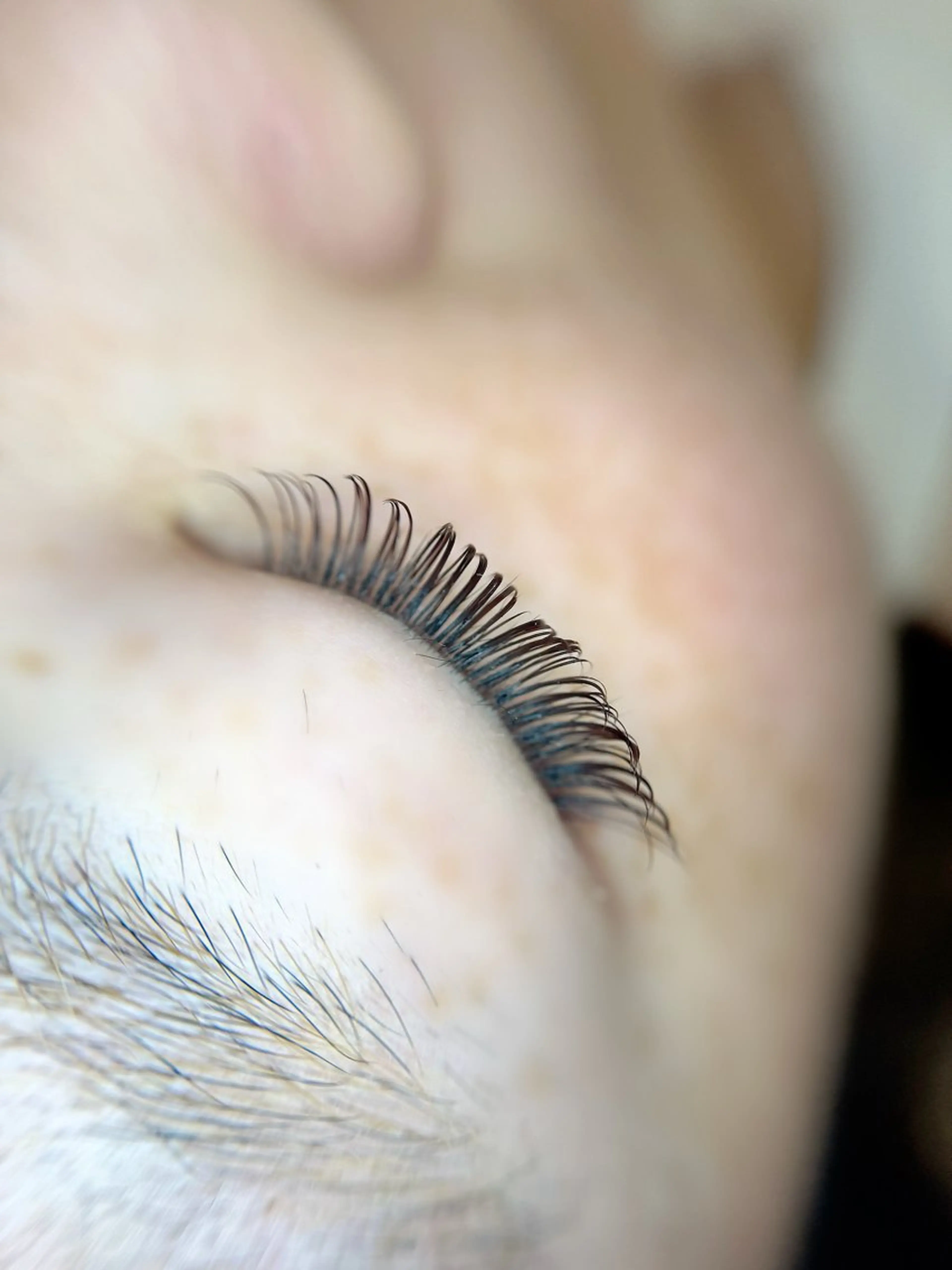 マツエク・マツパ ☾所属・眉waxモデル募集 🎀まつエクのマツエク・マツパデザイン