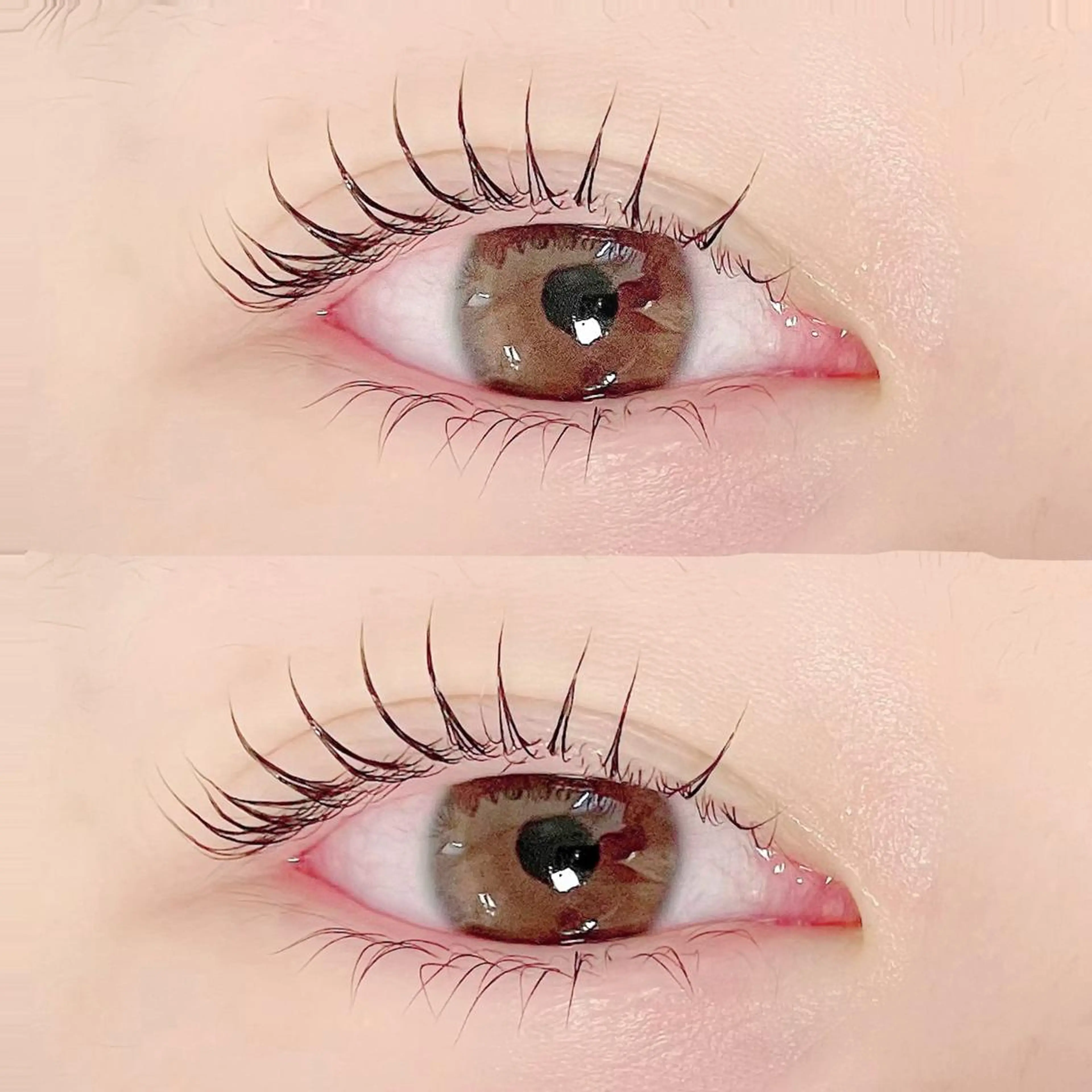 マツエク・マツパ マツパ FASTLASH🌹 パリジェンヌのマツエク・マツパデザイン