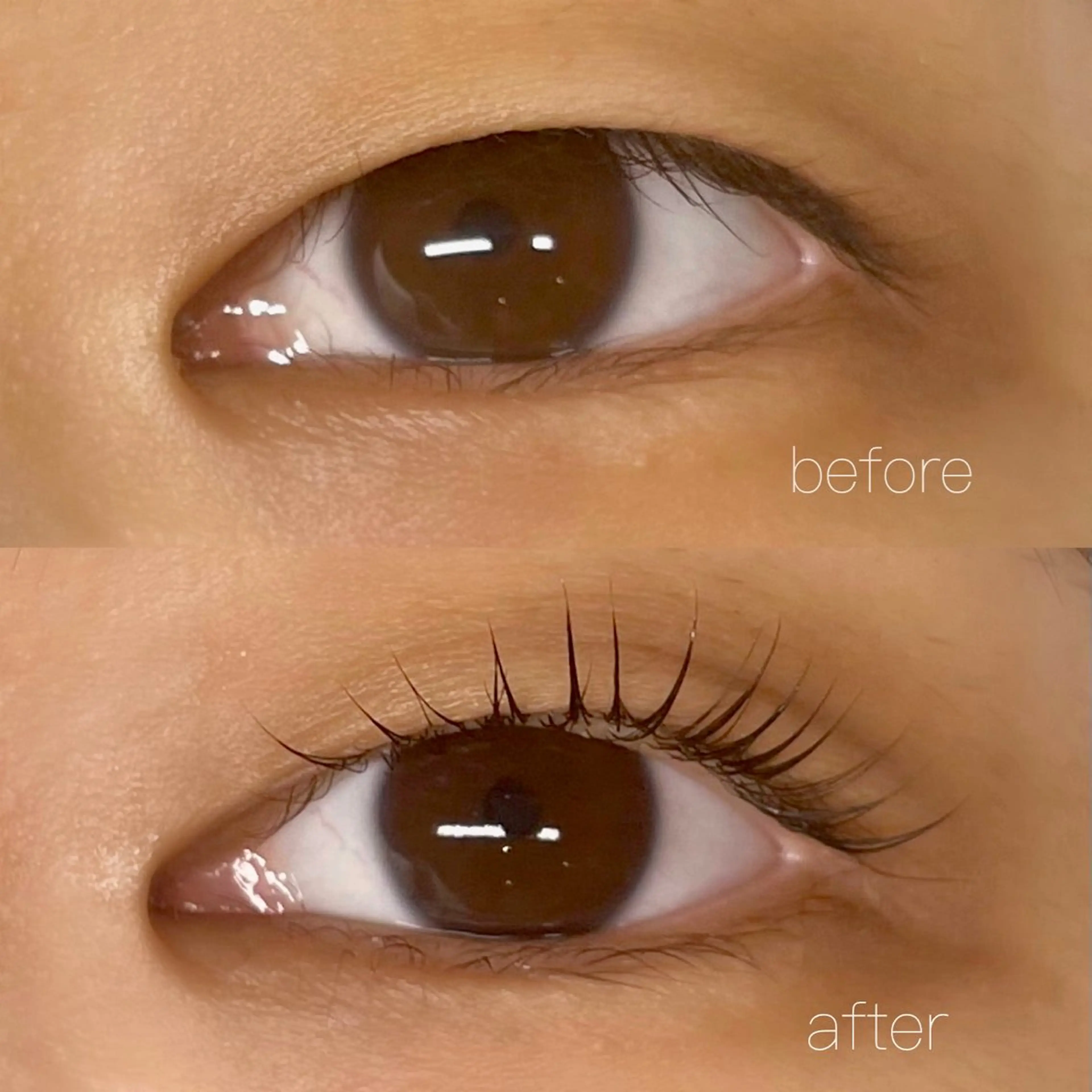 マツエク・マツパ eyelash salon　teraのマツエク・マツパデザイン