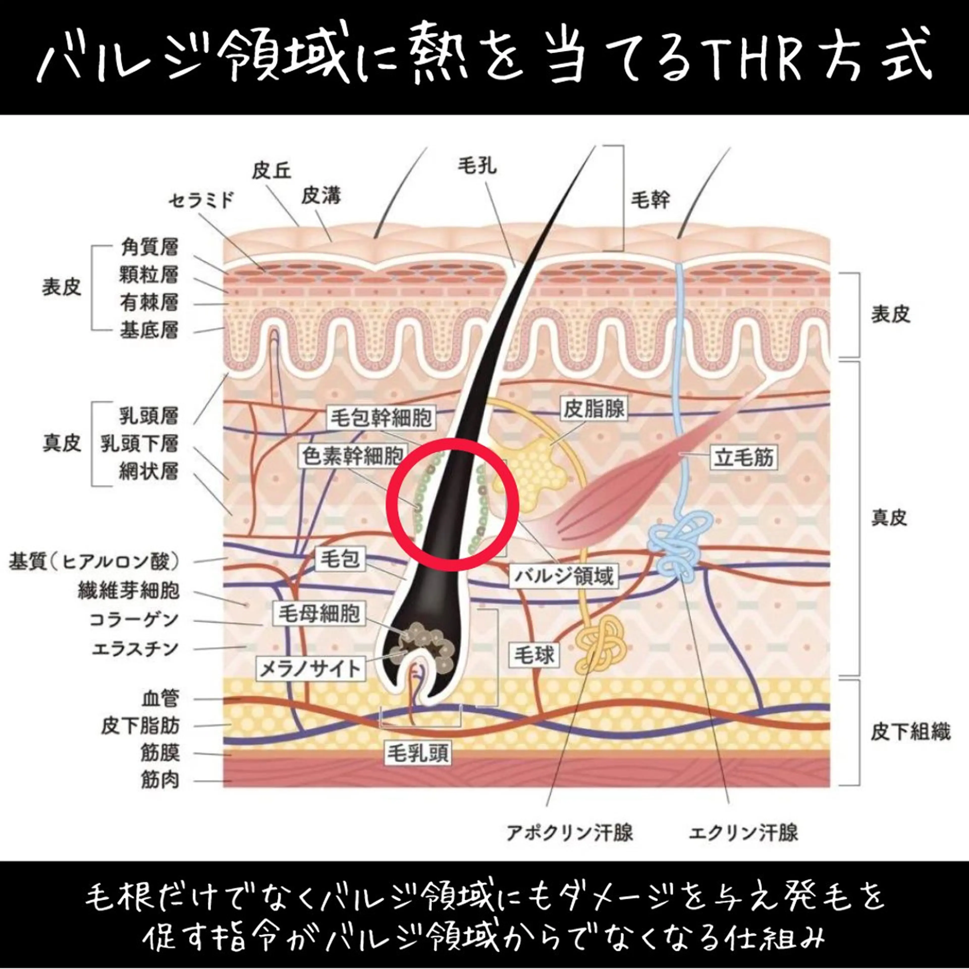 メンズ キッズ 脱毛 有人型セルフサロン 脱毛／痩身／美顔のエステ・リラクイメージ