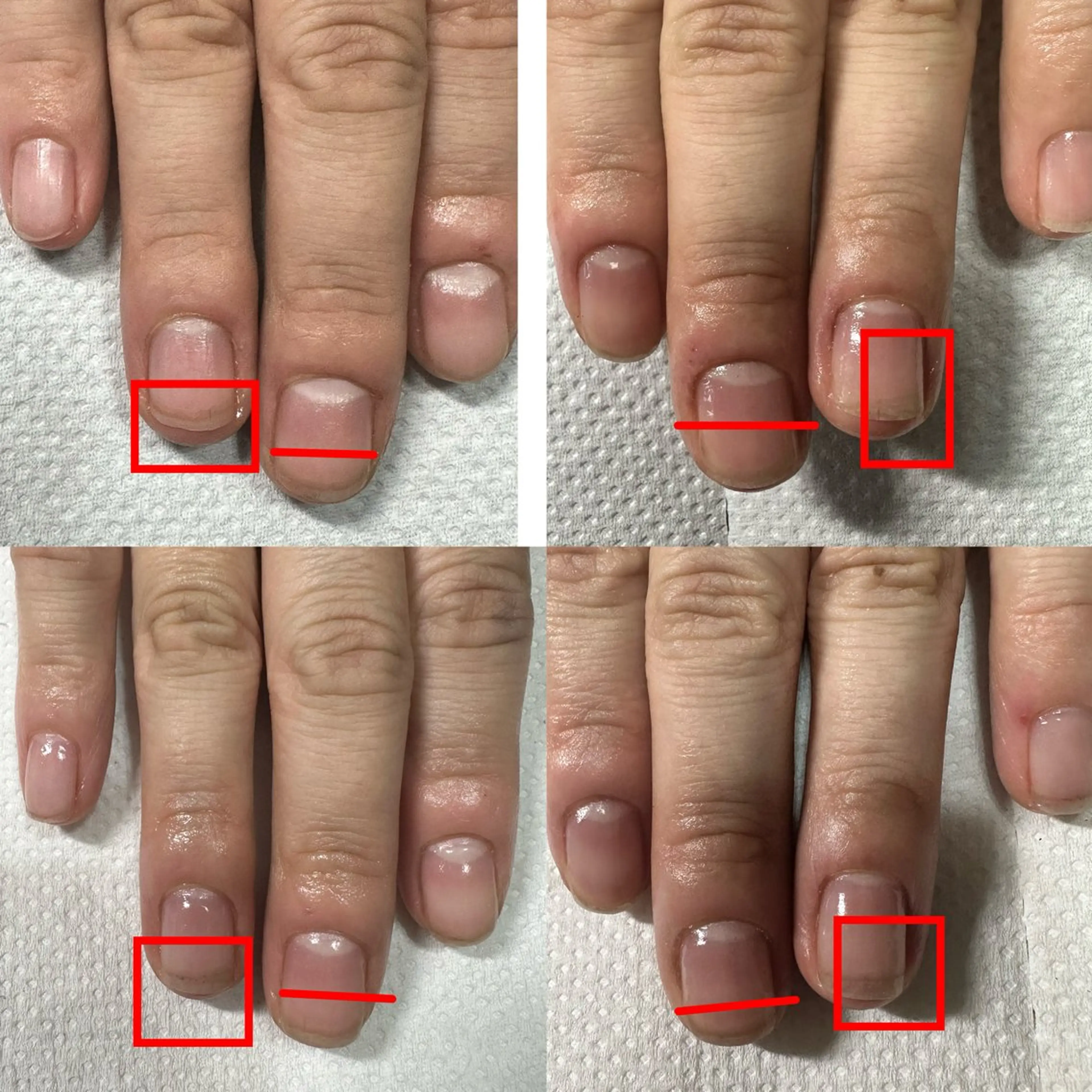 ネイル ネイルケアサロン Campanulaのネイルデザイン