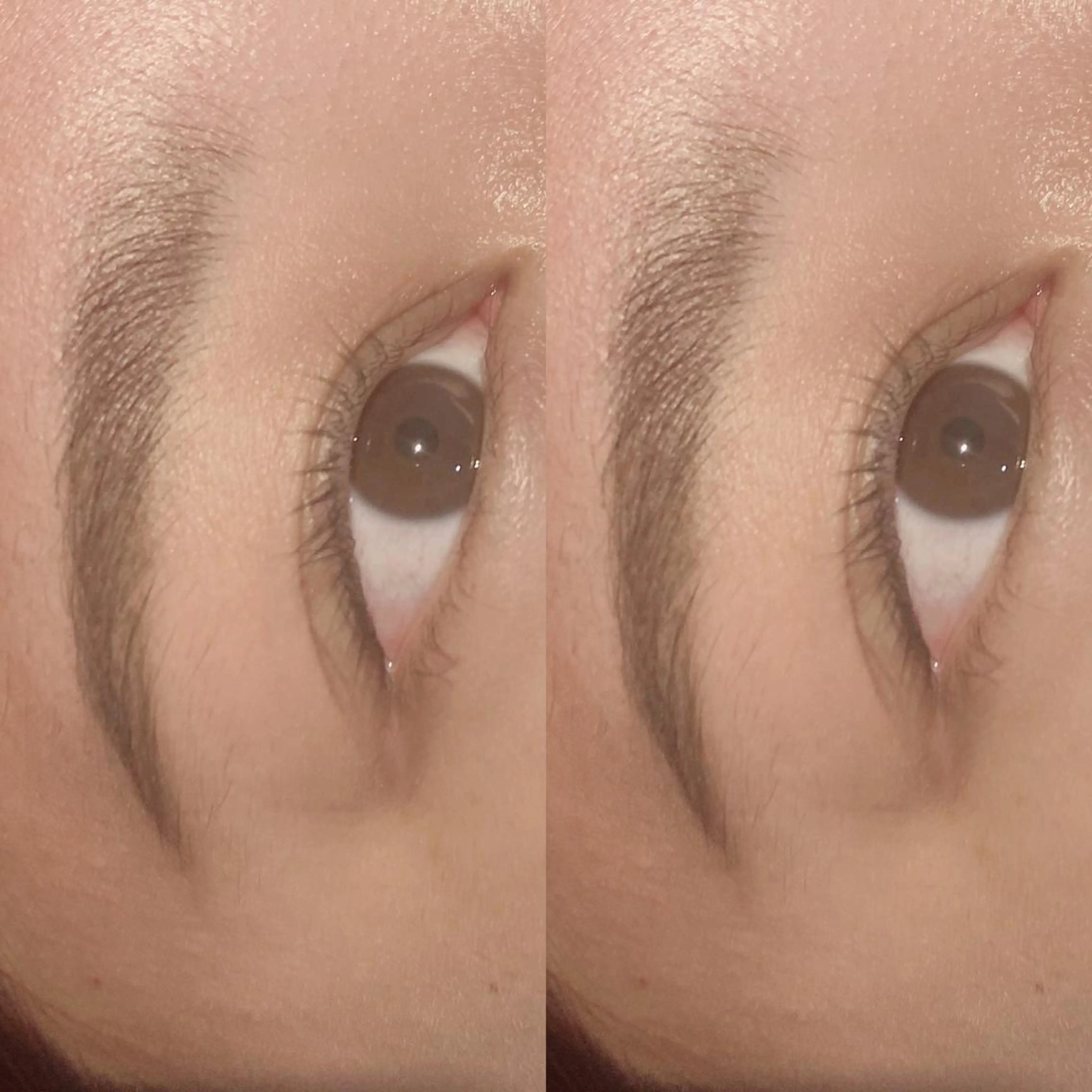 マツエク・マツパ パリジェンヌラッシュリフト Bianca 長津田店　長牛のマツエク・マツパデザイン