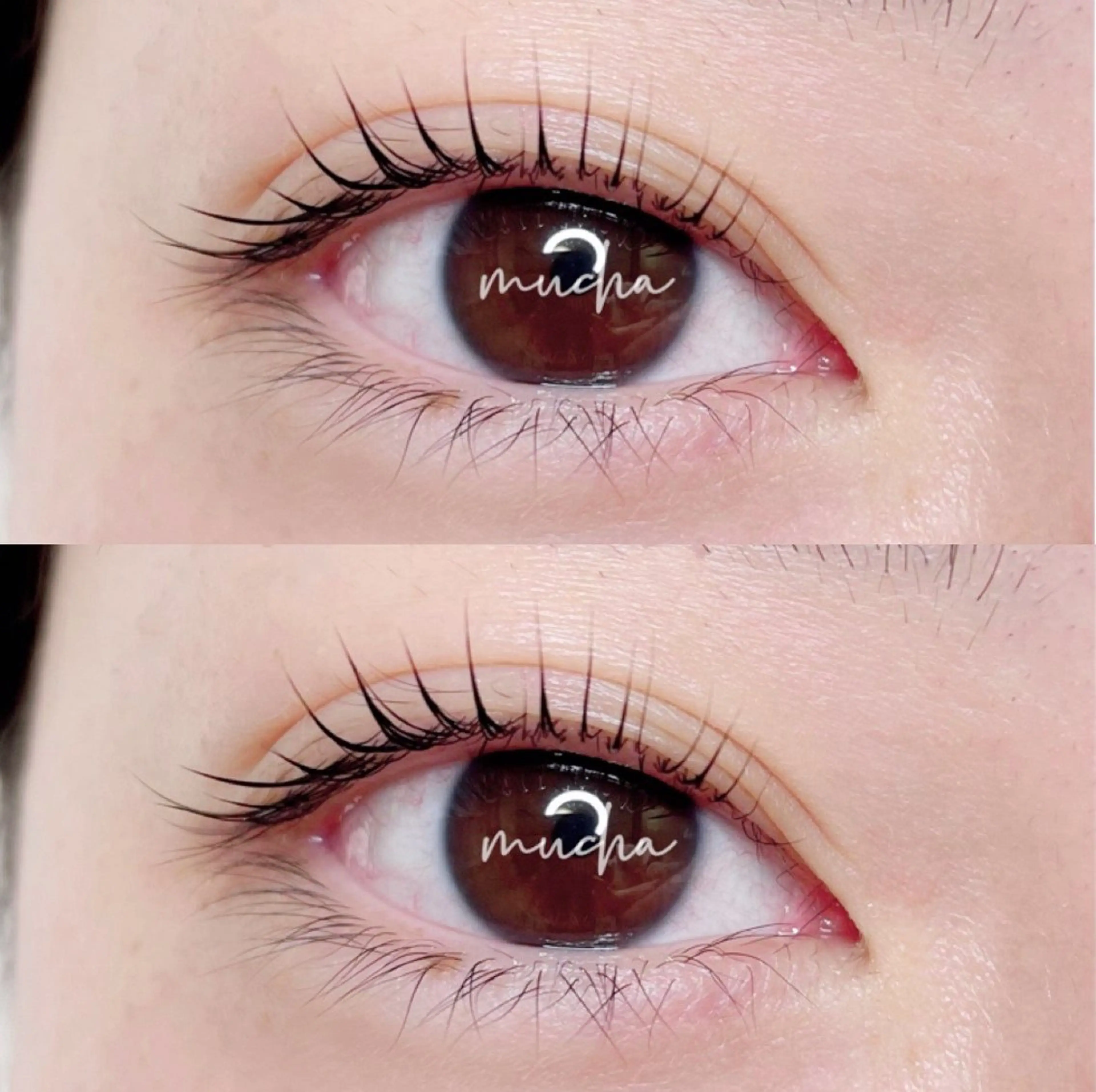 マツエク・マツパ eyelash muchaの眉毛・アイブロウイメージ