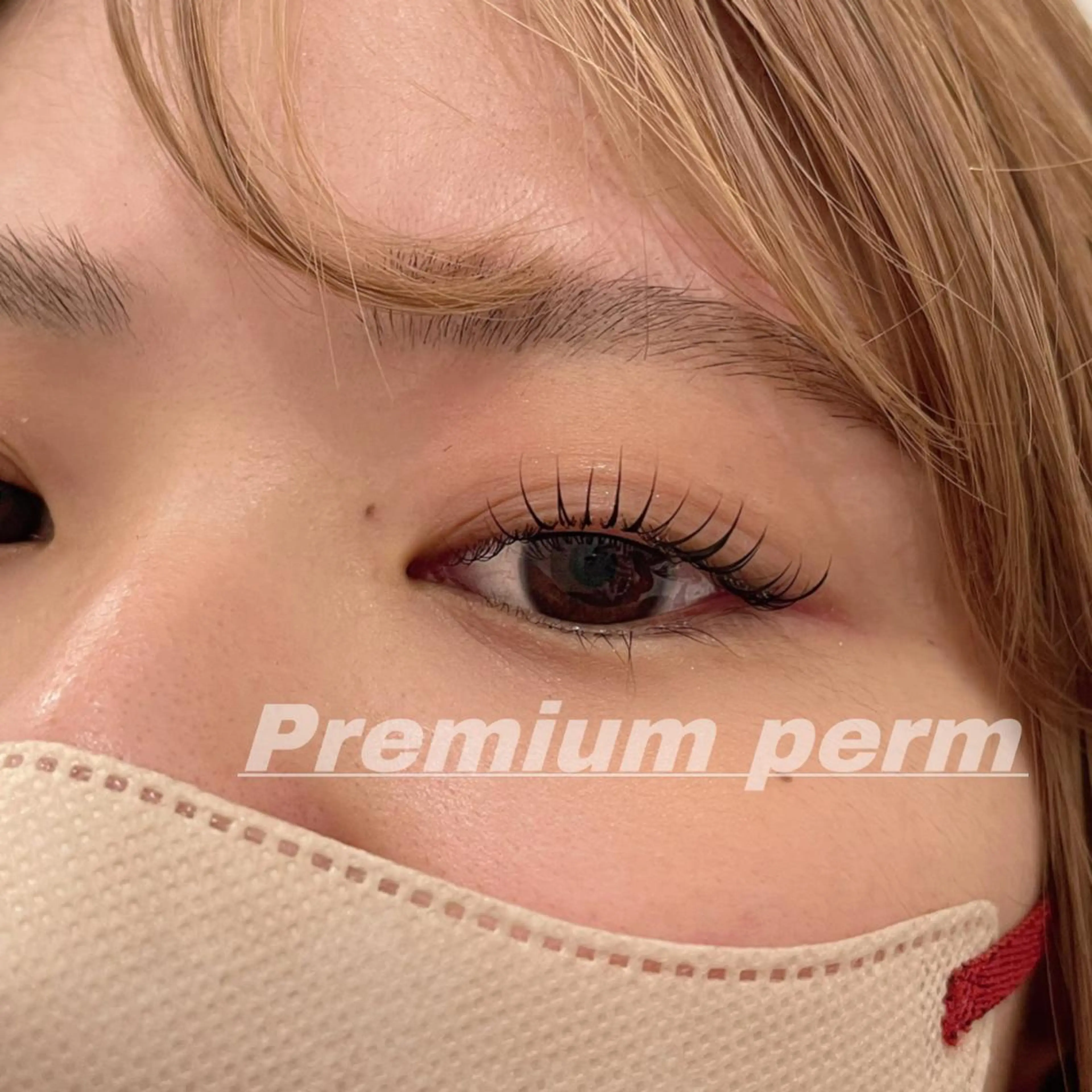 マツエク・マツパ 一重×まつ毛パーマ マツパ Eye ELSA lash栄店 長沼の眉毛・アイブロウイメージ