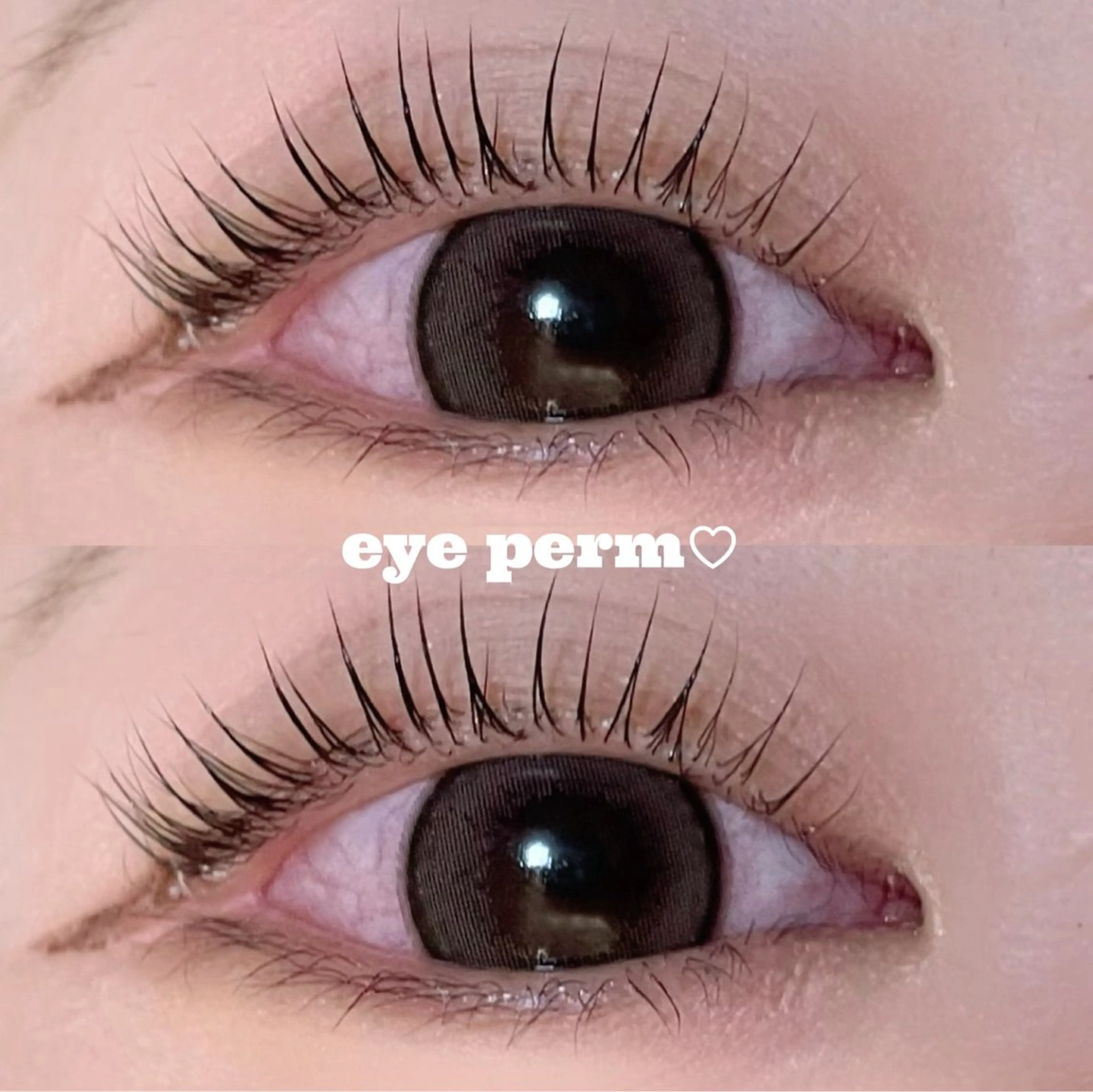 マツエク・マツパ Mon mignon ෆmomokaのマツエク・マツパデザイン