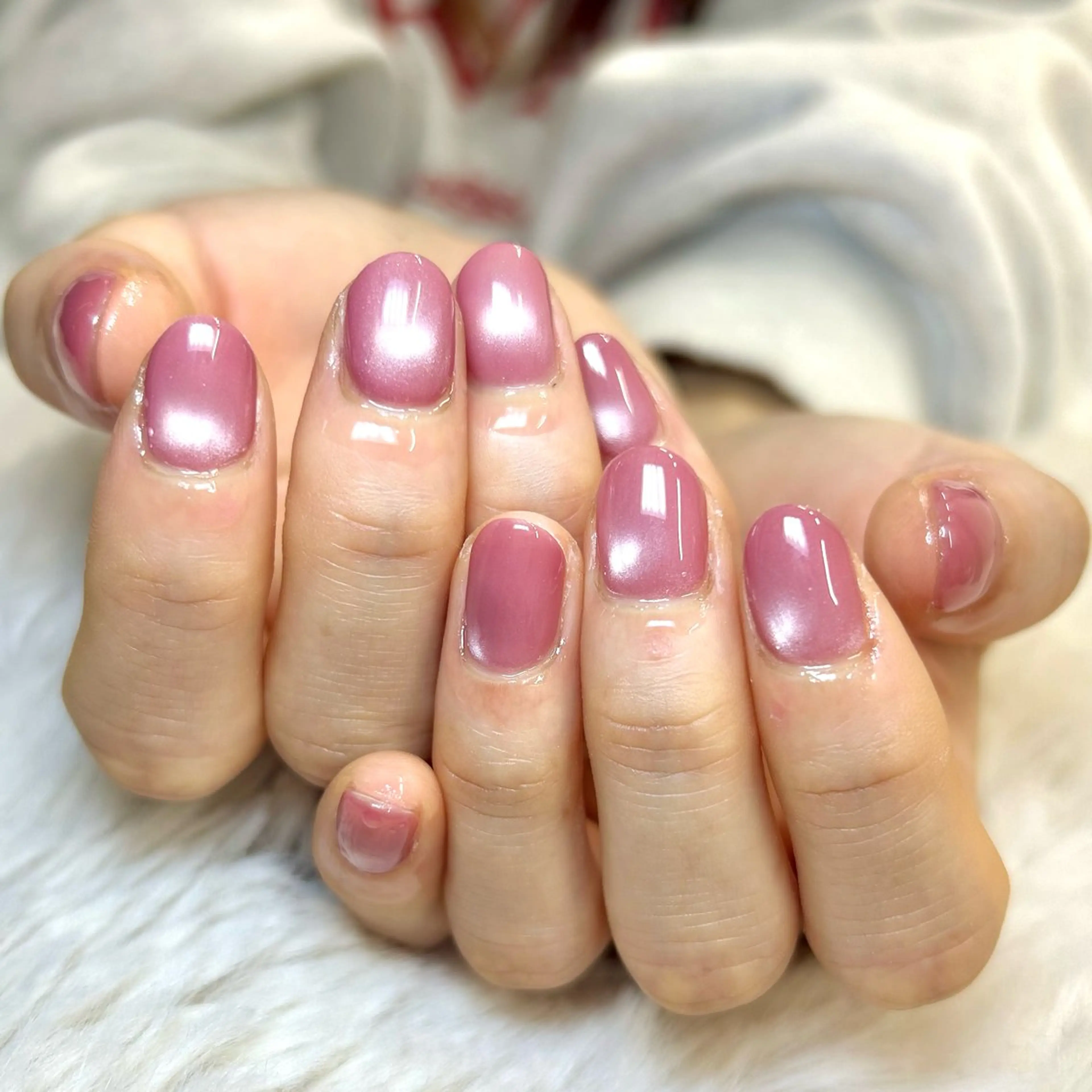 ☆19日限定☆マグネットワンカラー☆の写真