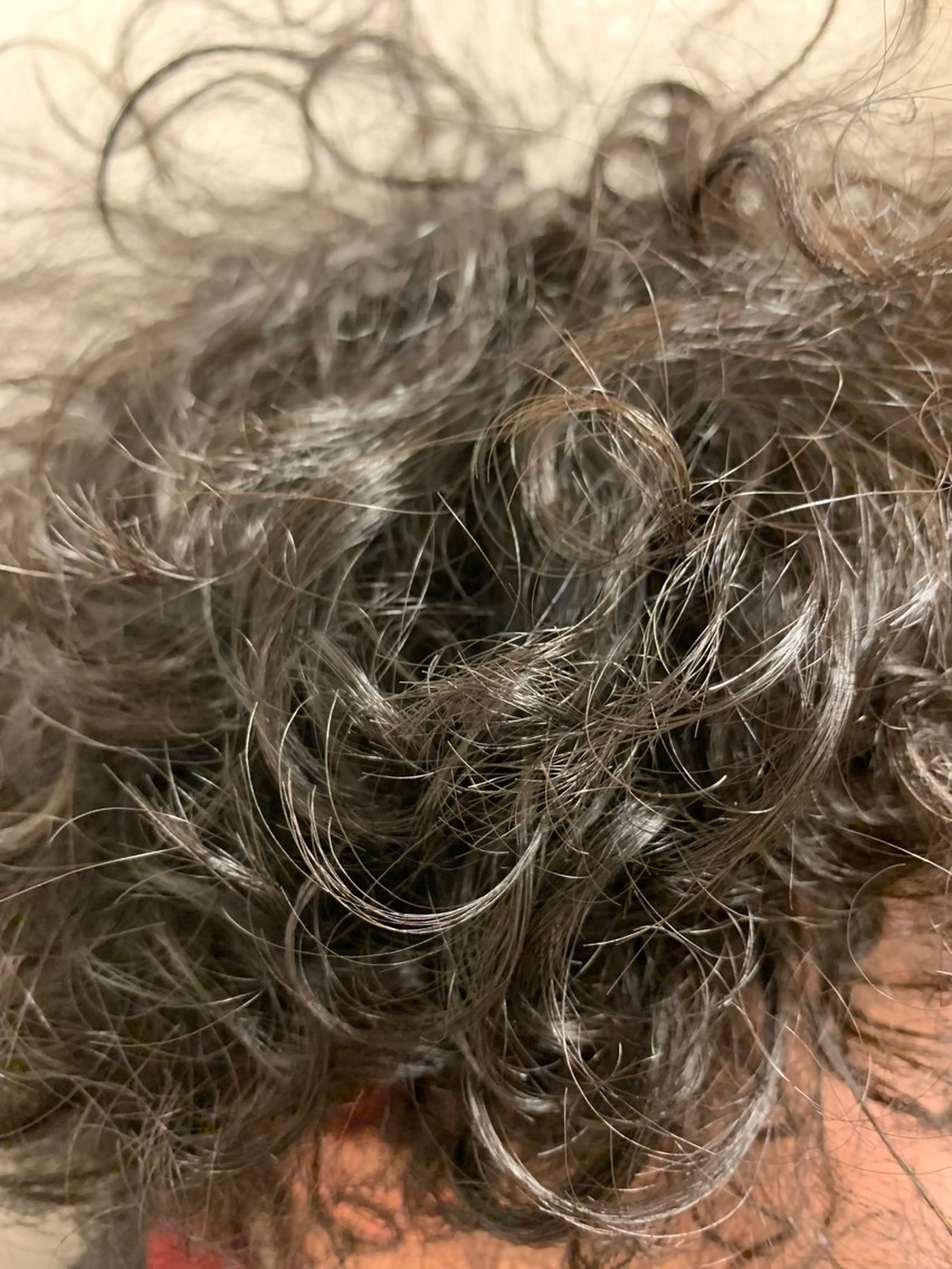 メンズ 星野 真壱のヘアスタイル