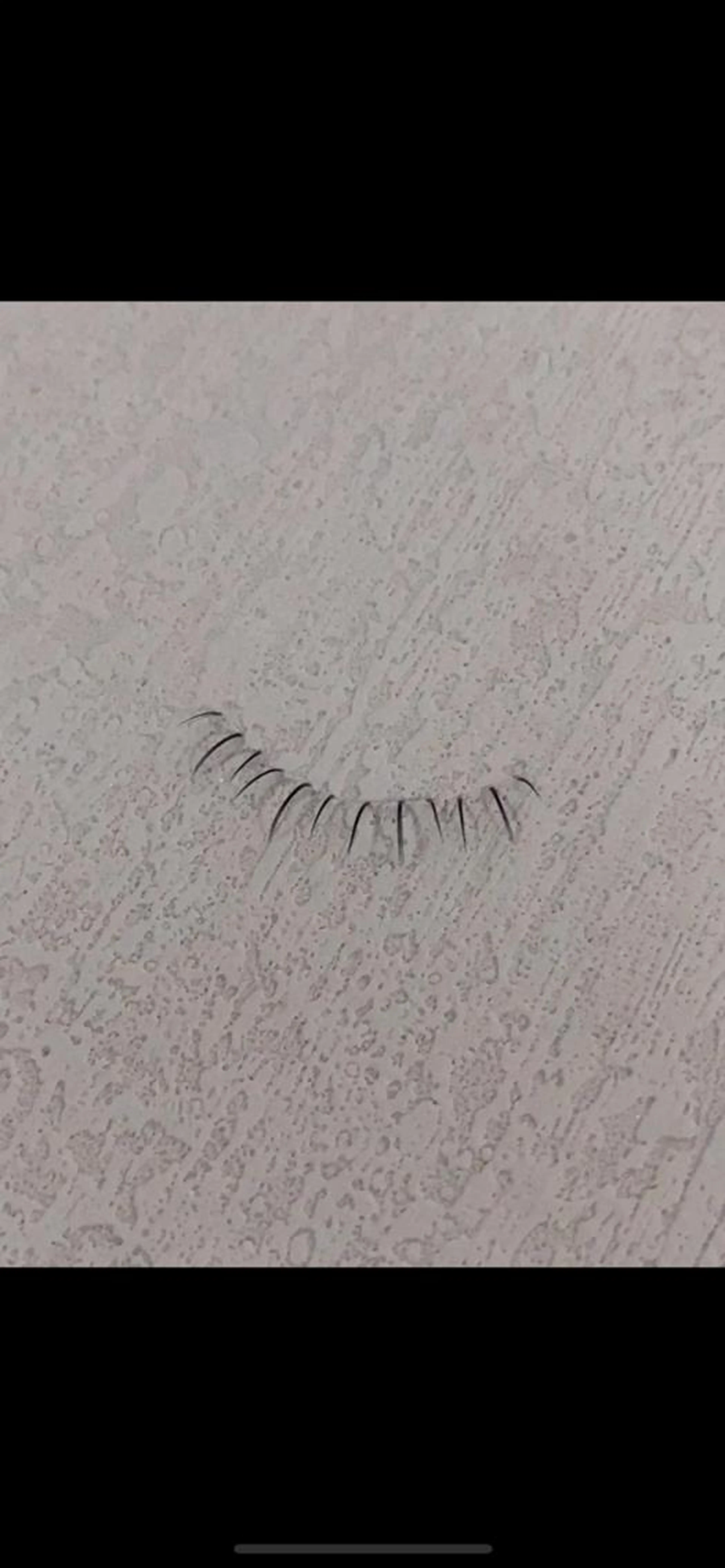 【下まつ毛単品価格】漫画ワンホンつけ放題3Dボリュームラッシュの写真