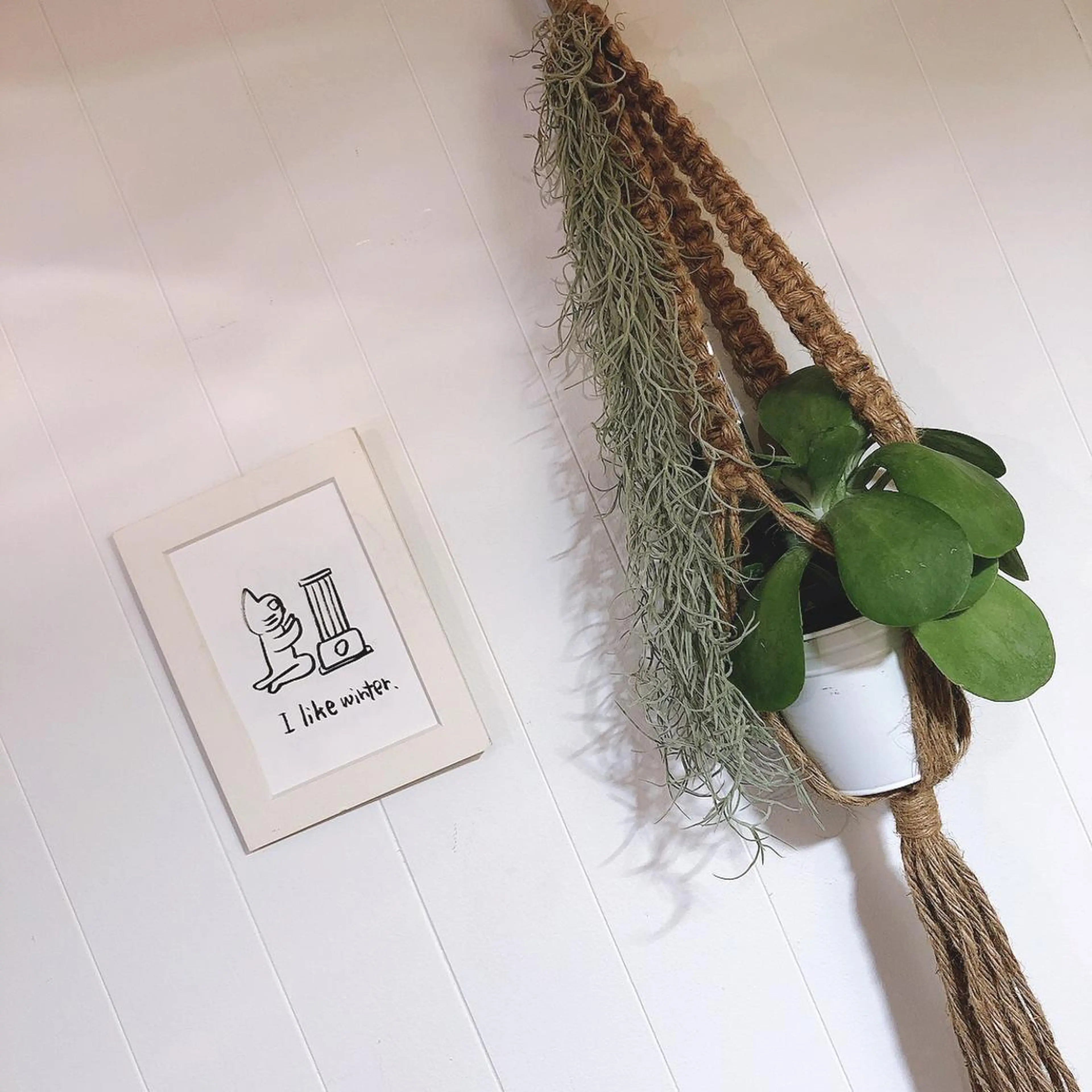 マツエク・マツパ なかむら 🪡の眉毛・アイブロウイメージ