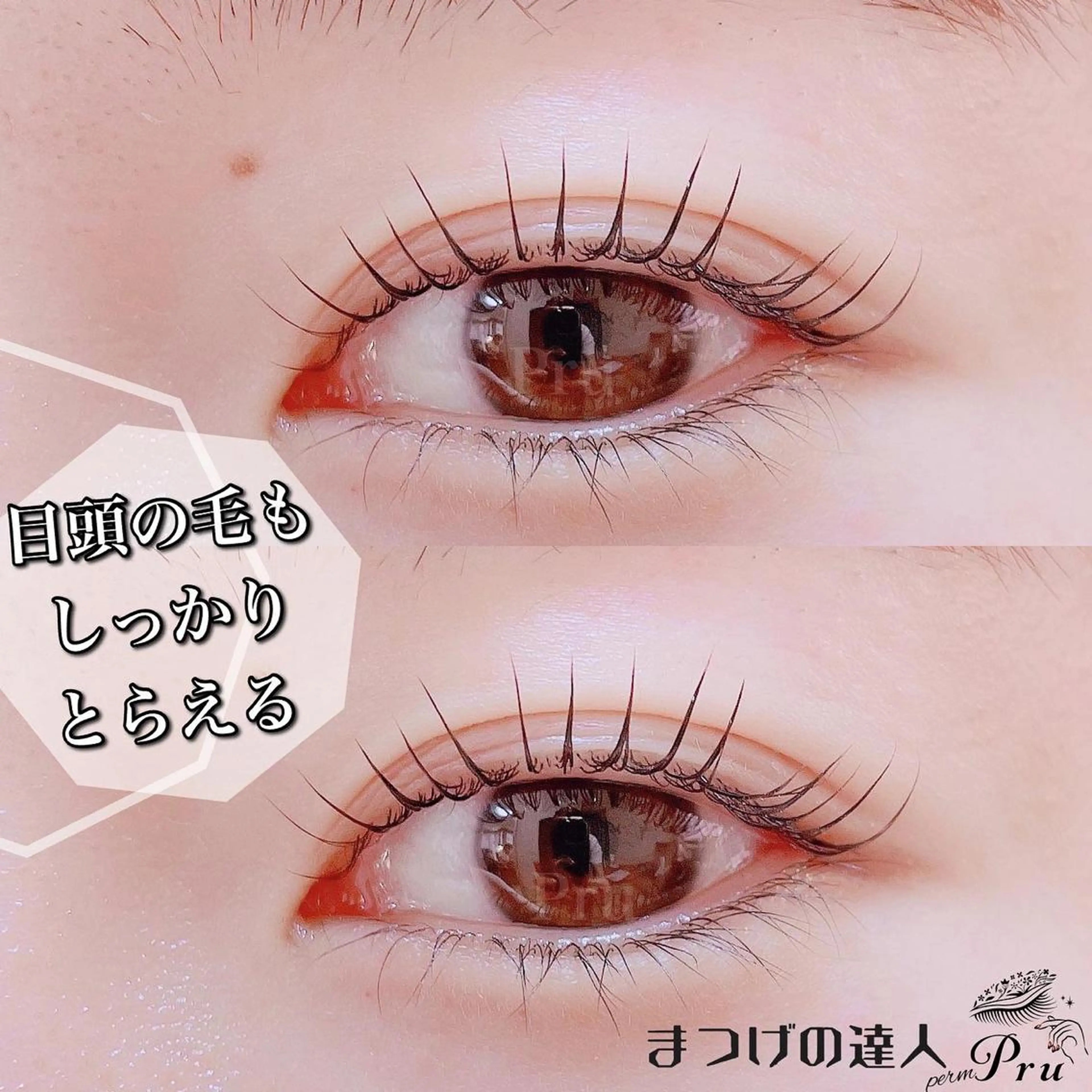 マツエク・マツパ マツパ プル eyelashのマツエク・マツパデザイン