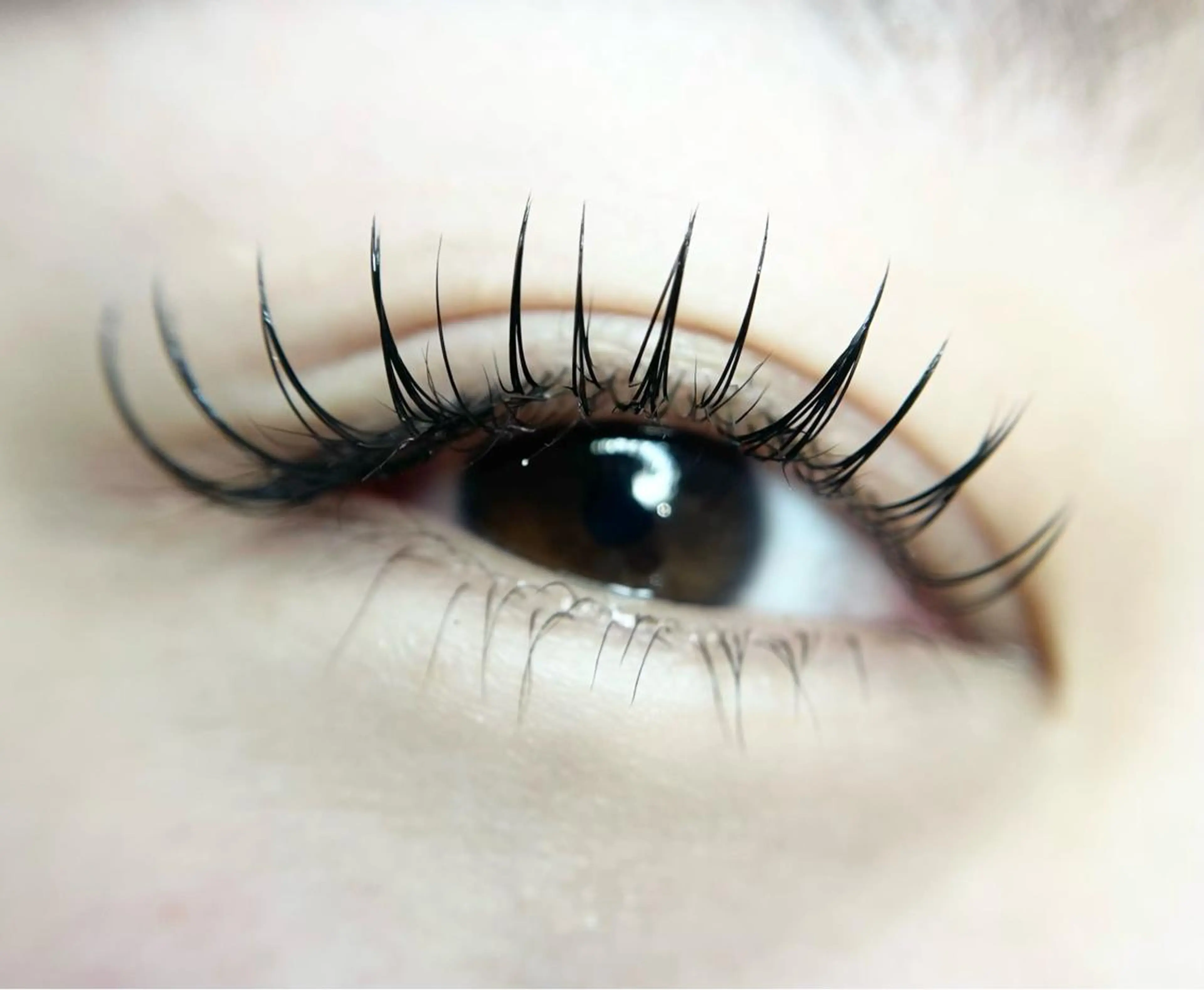 マツエク・マツパ Dカール フラットラッシュ 目尻長め moa＋eyelash by ENNAIL所属・MOAeyelash Honokaのマツエク・マツパデザイン